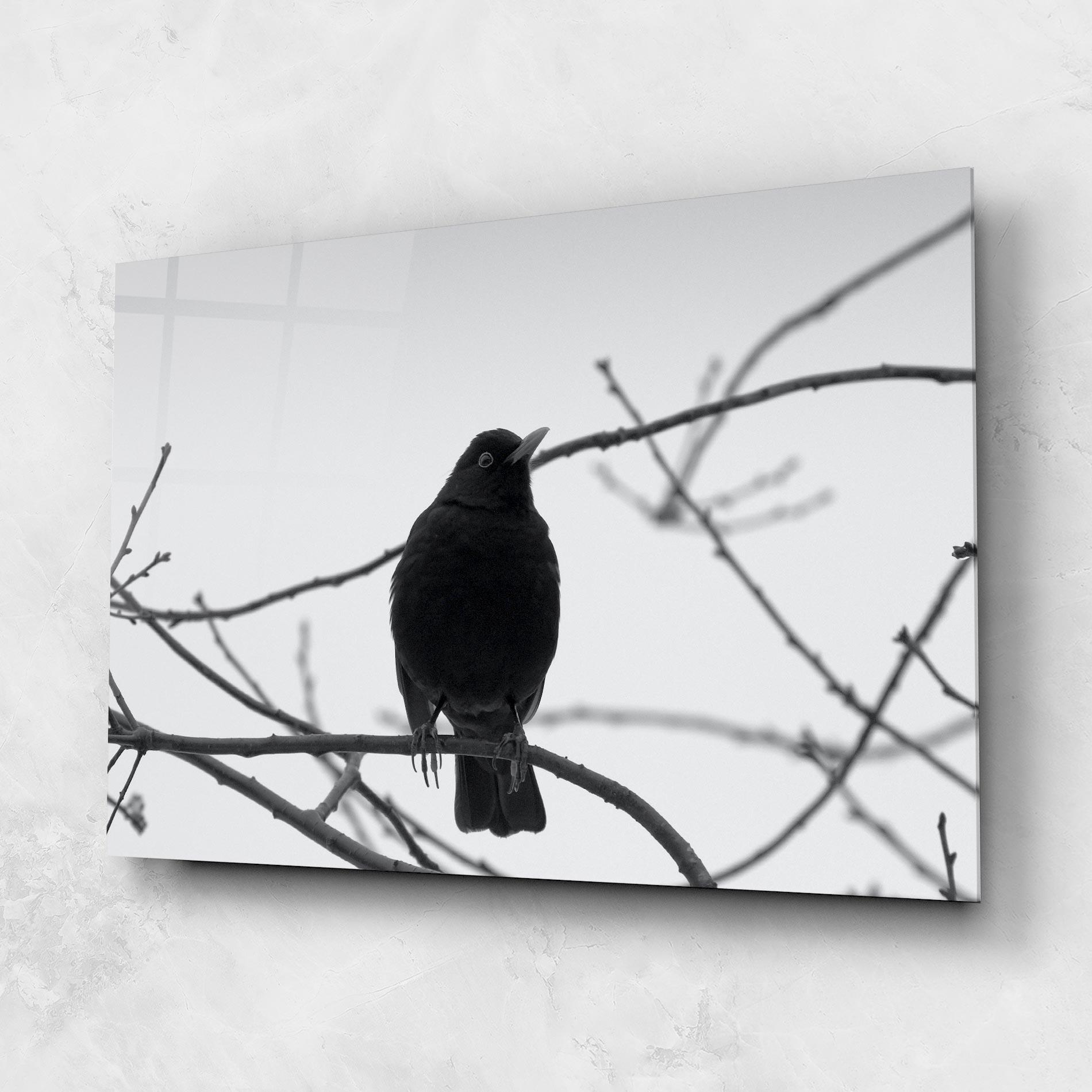 Glasbild Black Bird mockup 1