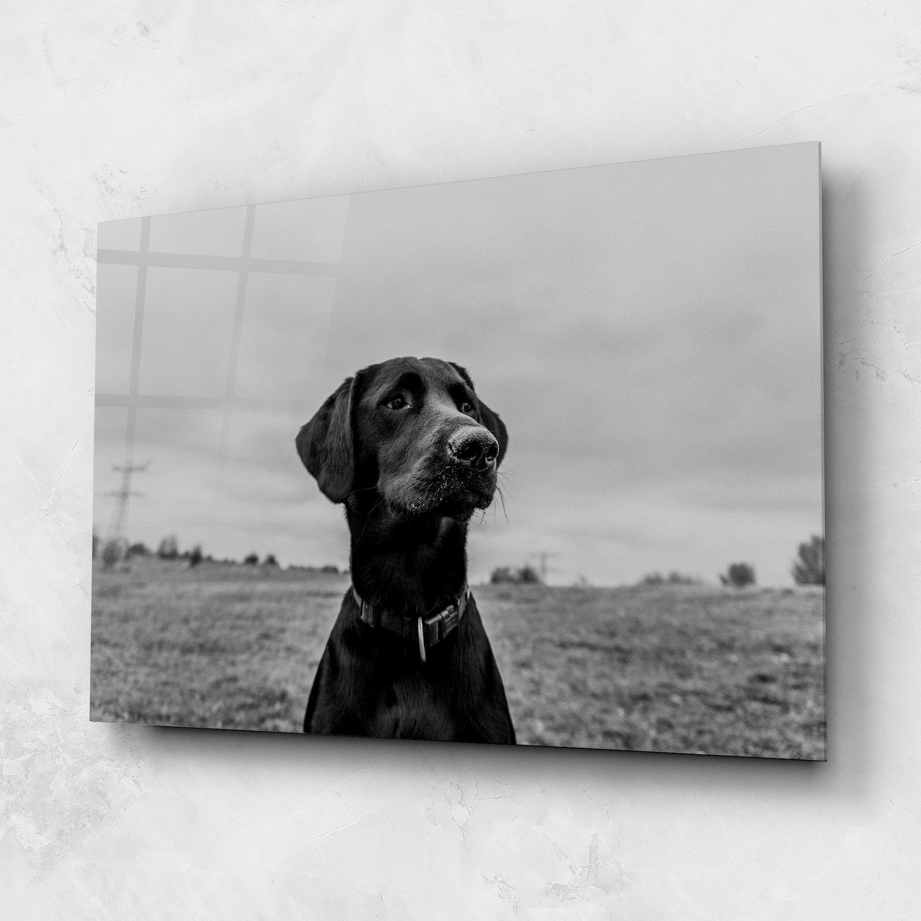 Glasbild Black Dog mockup 1