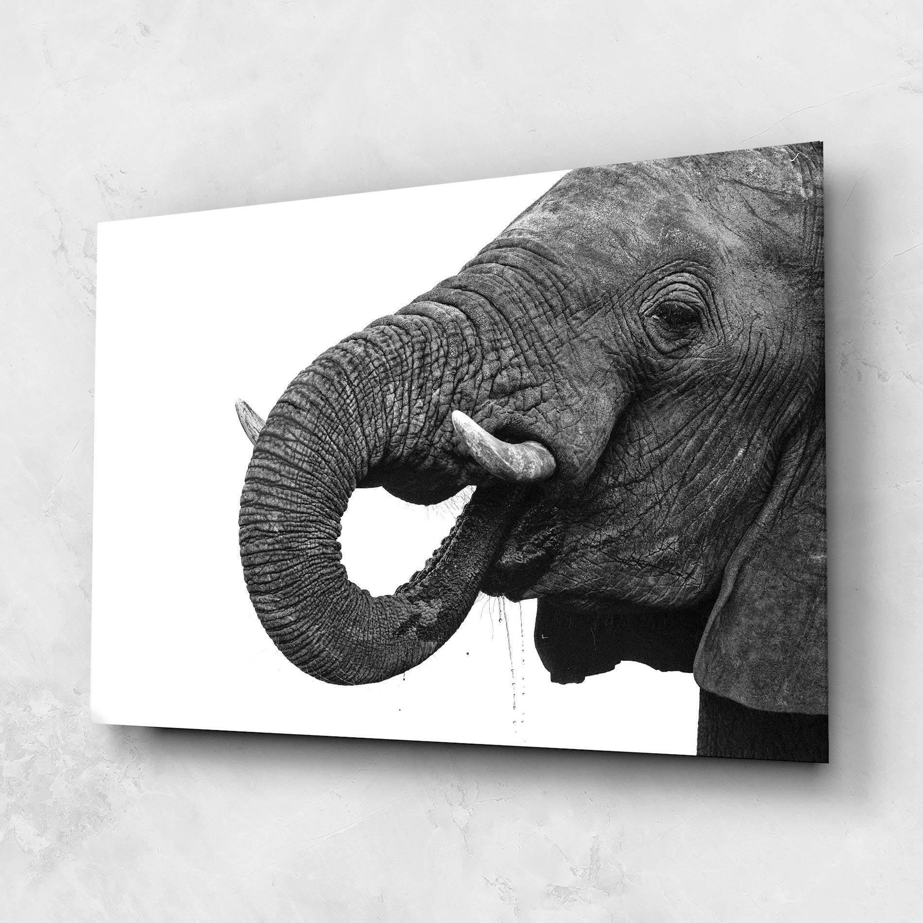 Glasbild Elephant Drinking mockup 1