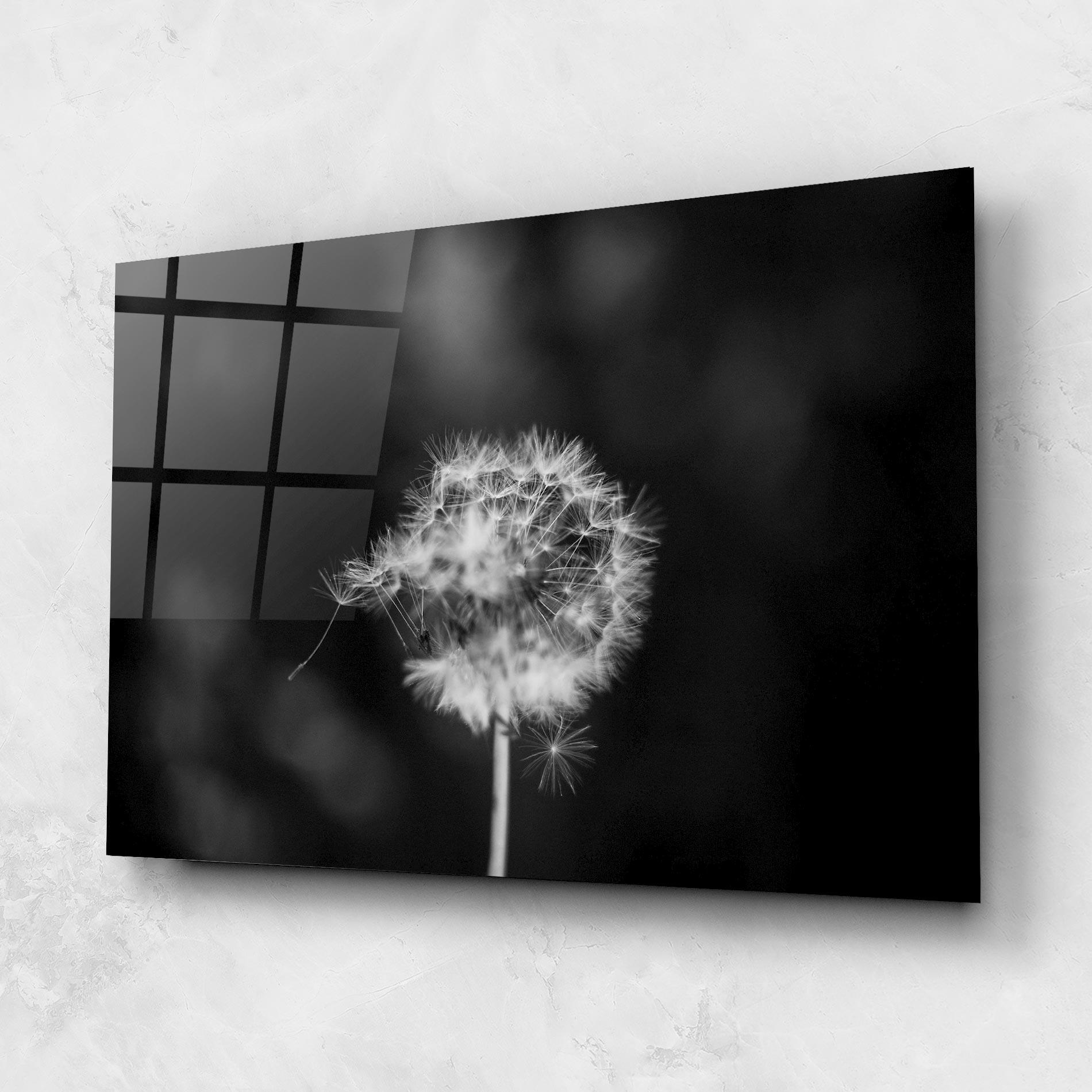 Glasbild Grey Dandelion mockup 1