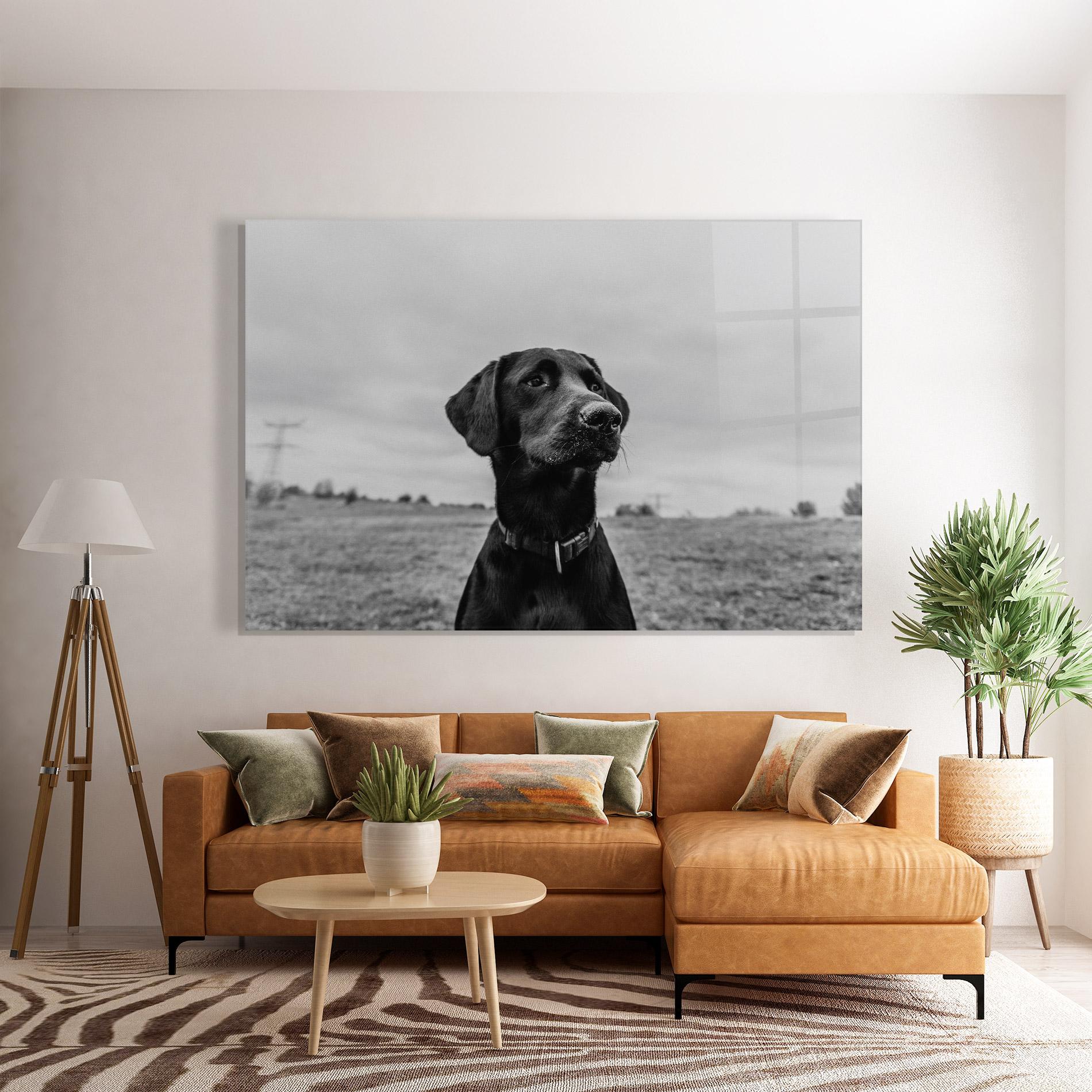 Glasbild Black Dog mockup 7