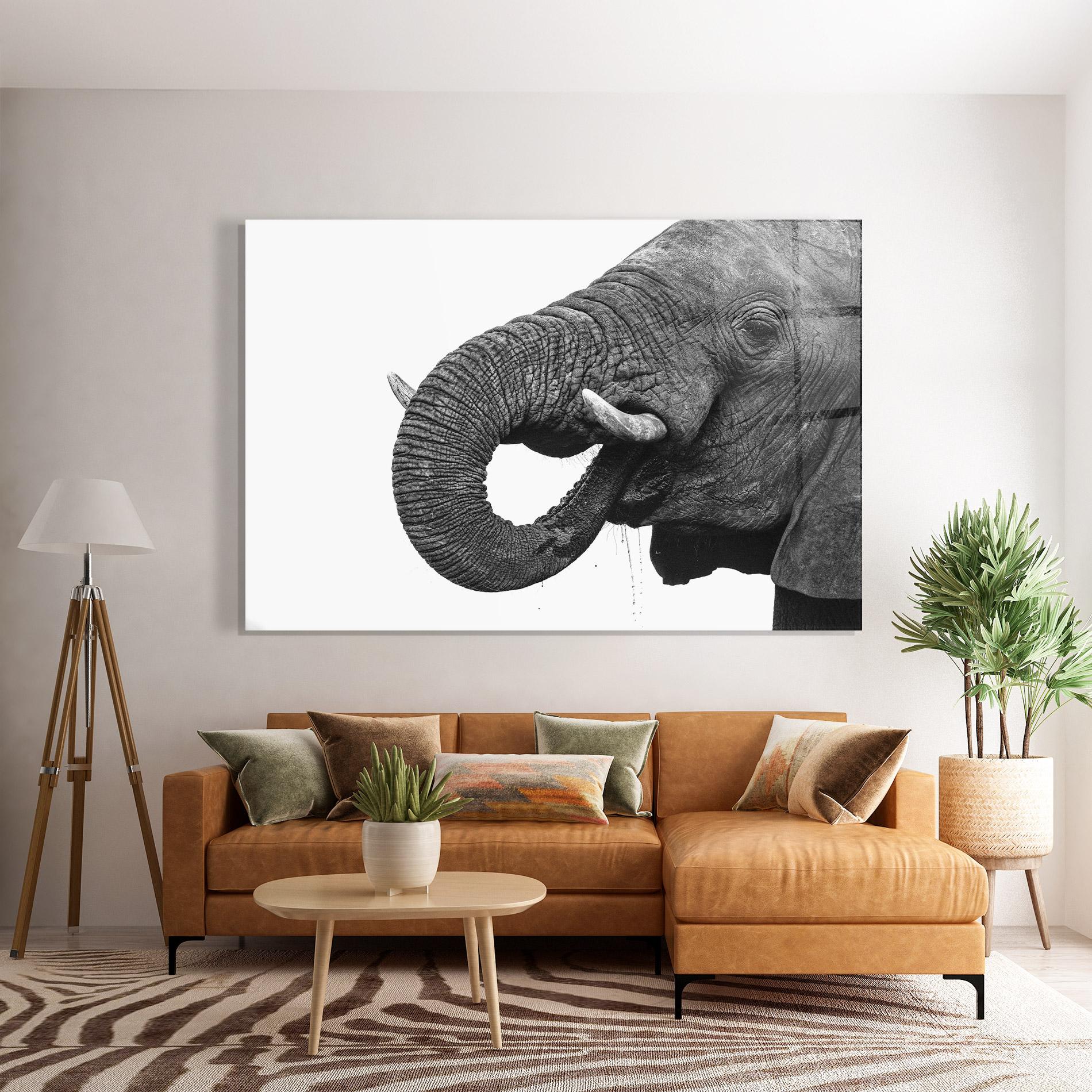Glasbild Elephant Drinking mockup 7