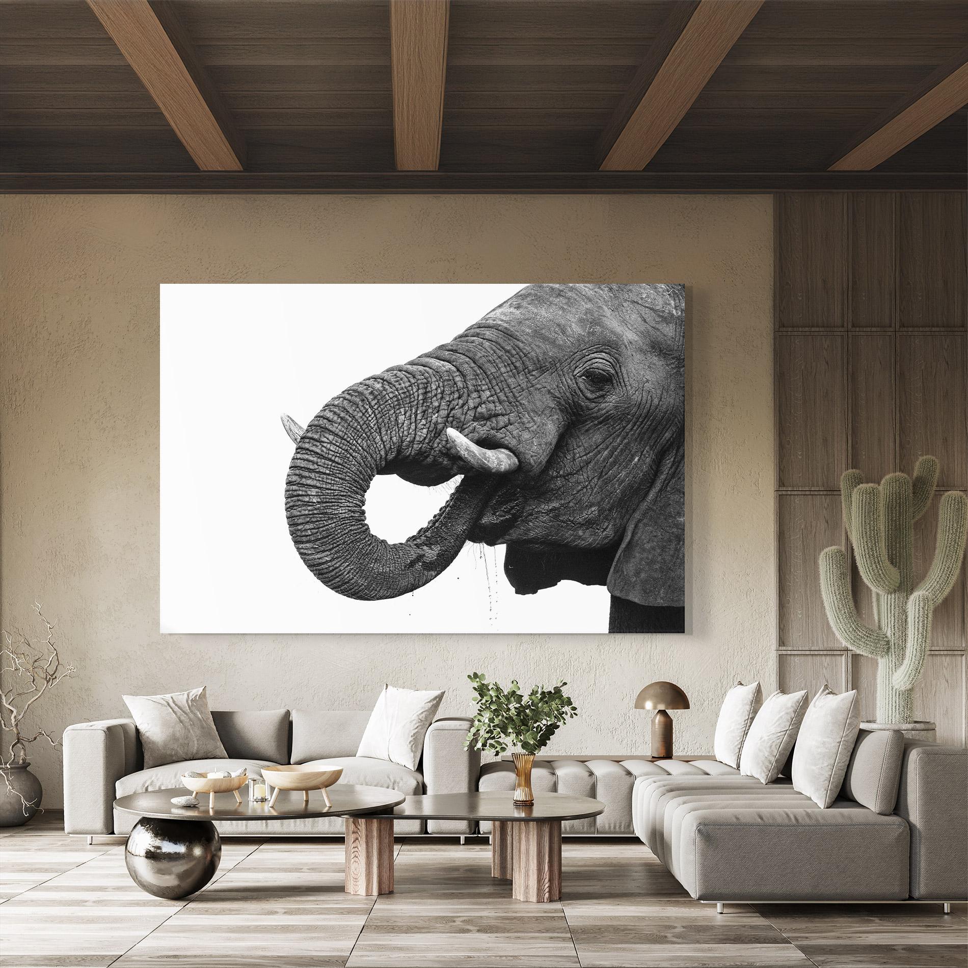 Glasbild Elephant Drinking mockup 8