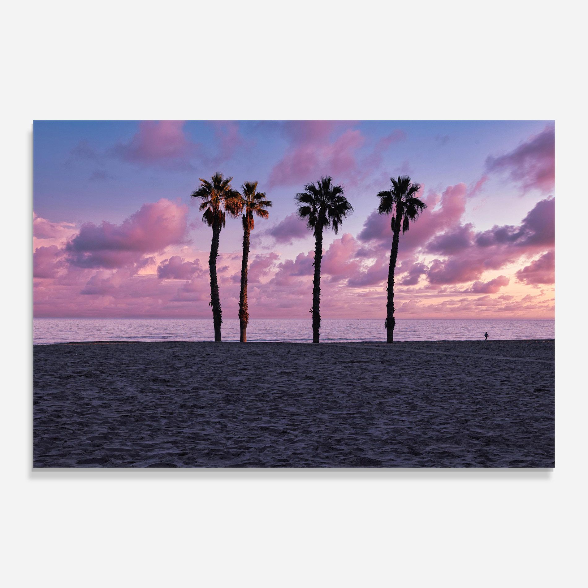 Palm Trees Beach mockup 0