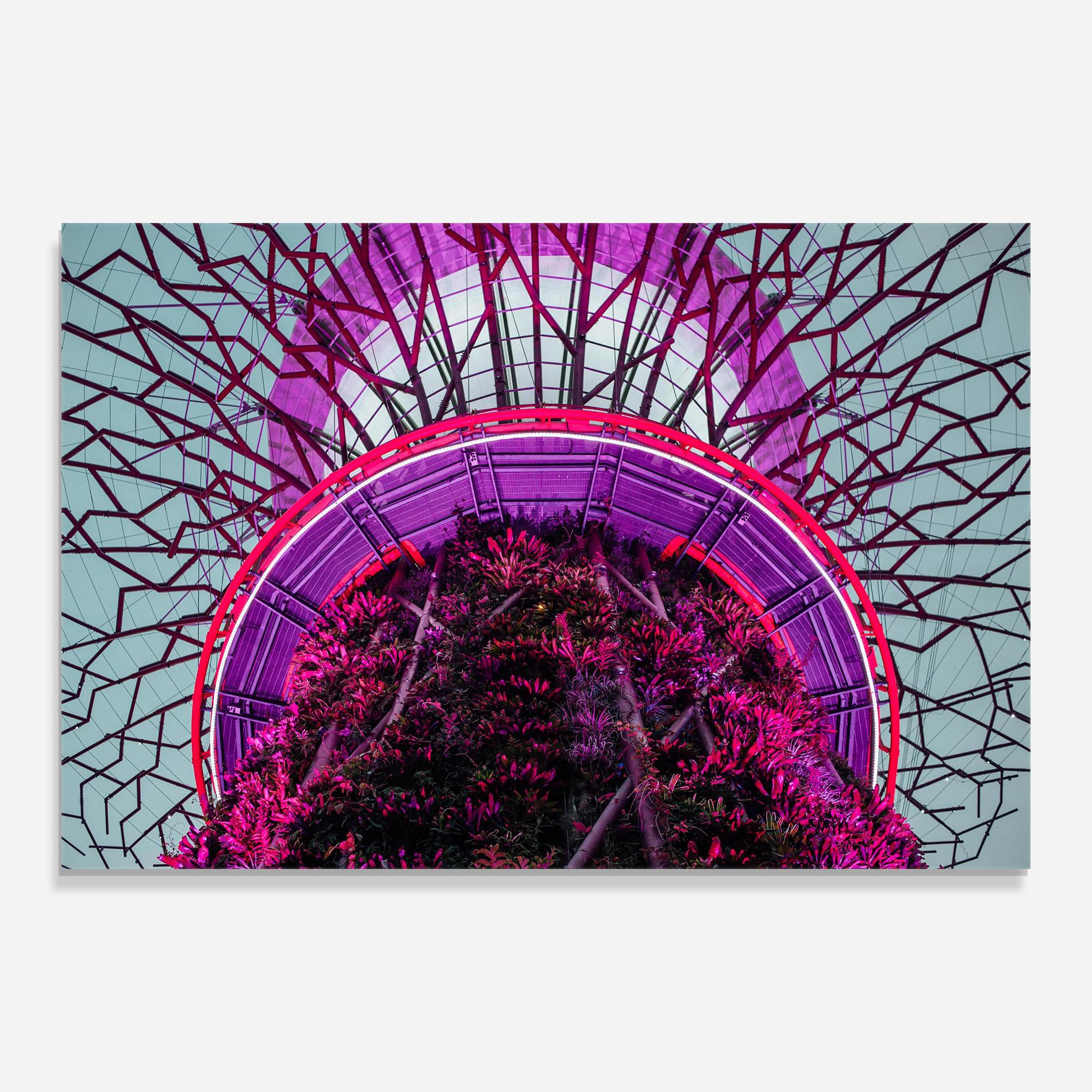 Glasbild Supertree Grove mockup 0