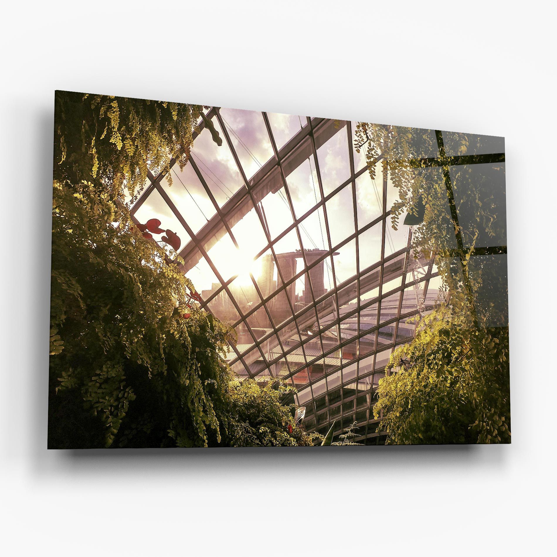 Cloud Forest mockup 6