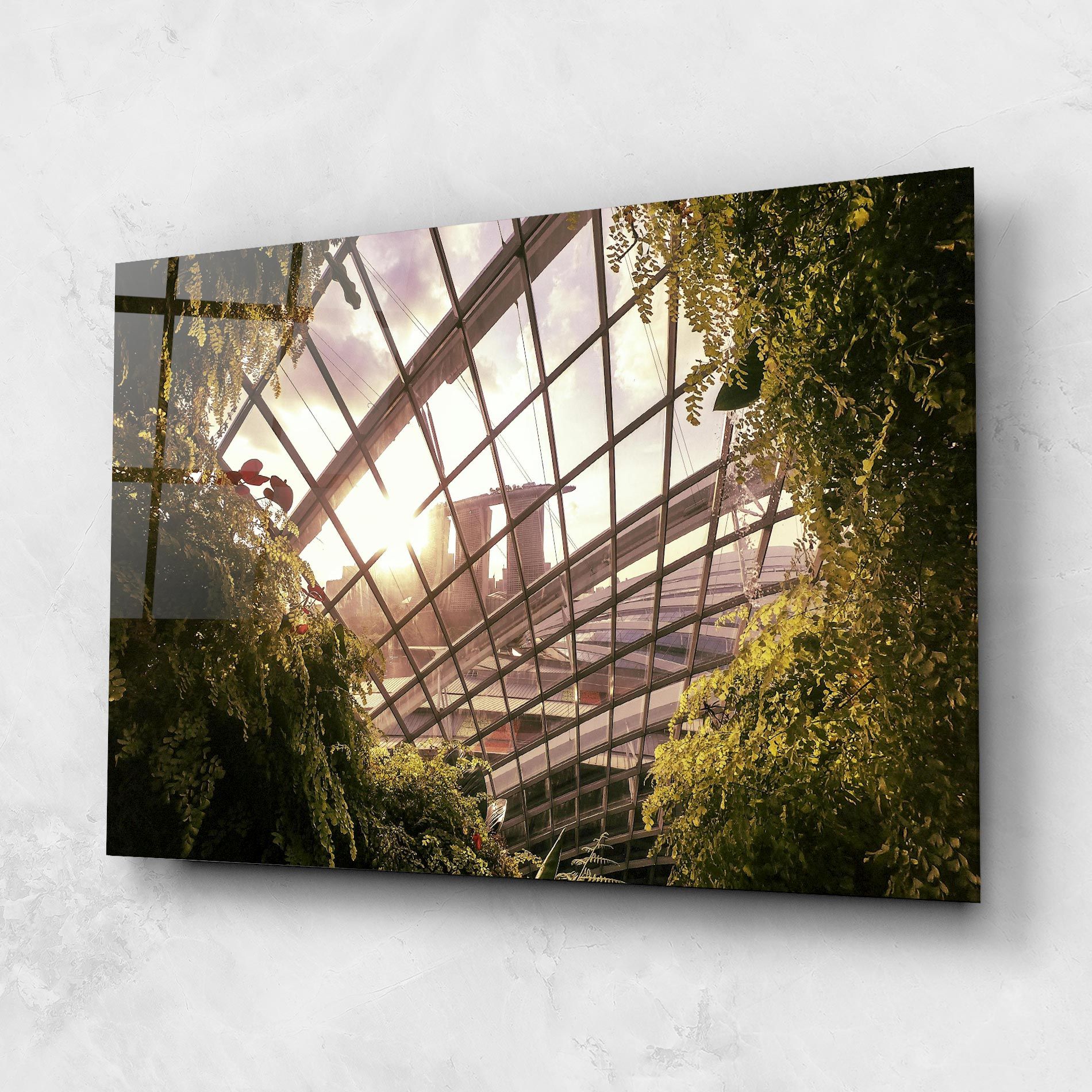 Cloud Forest mockup 1