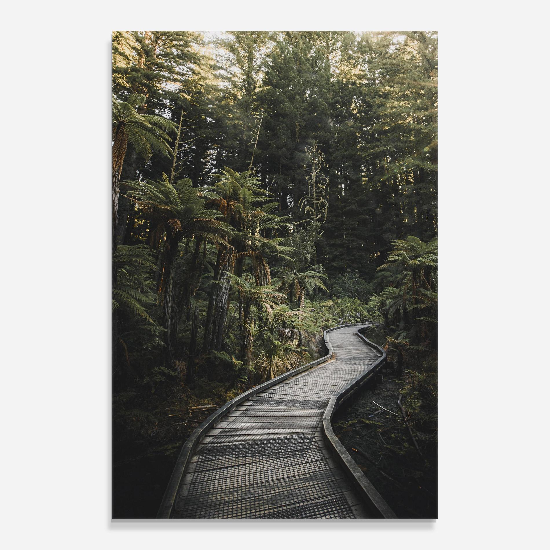 Glasbild Forest Path View mockup 0