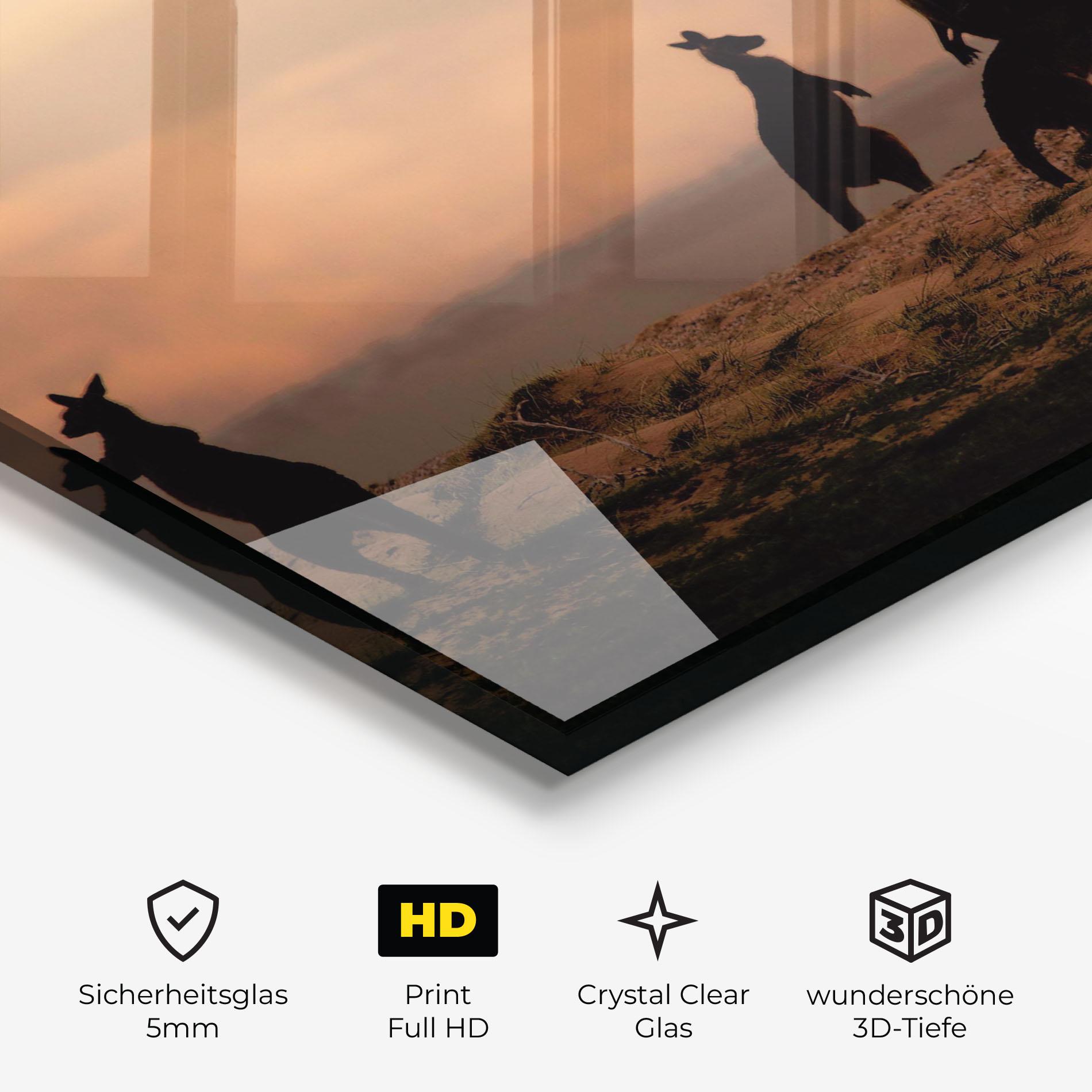 Glasbild Kangaroos Playing mockup 3