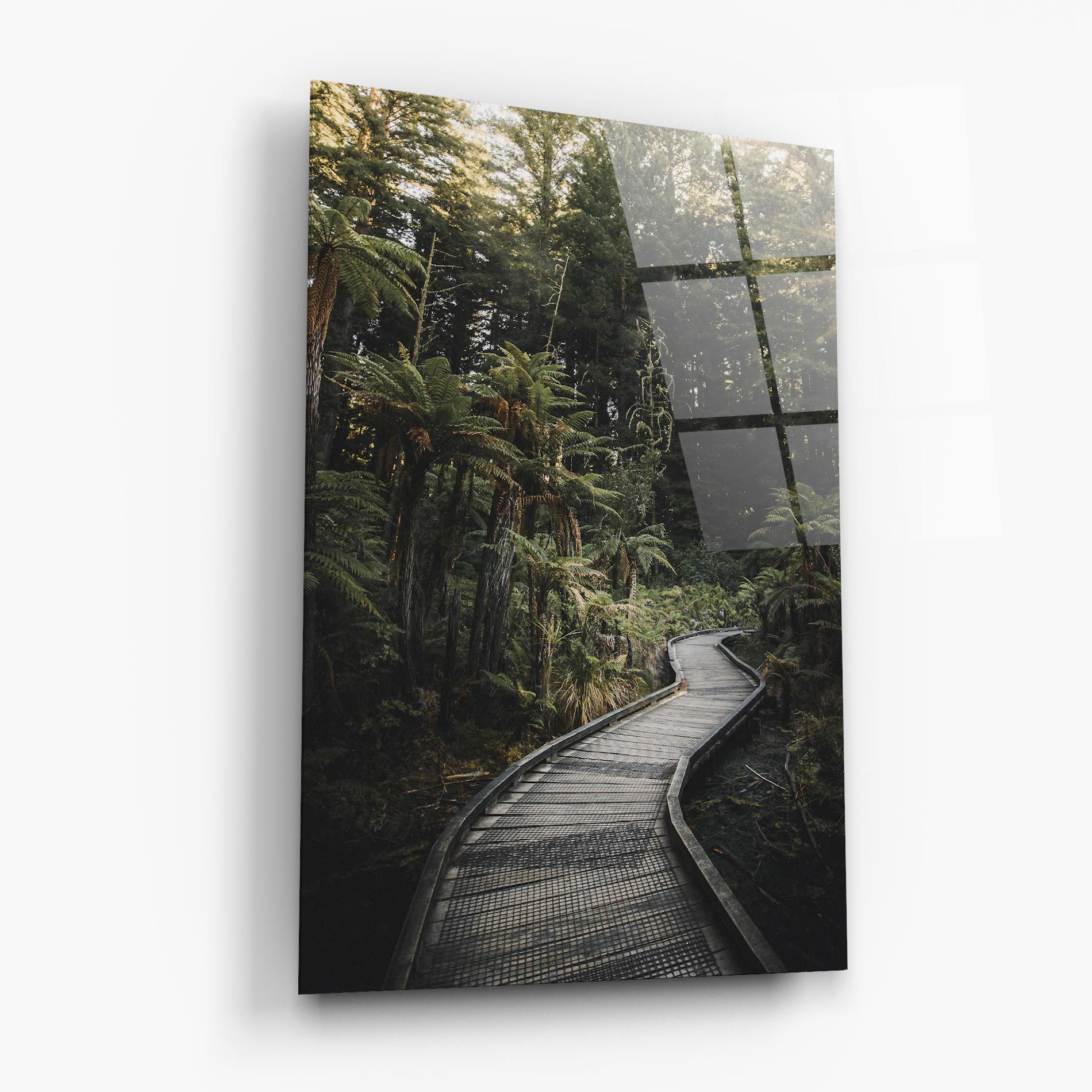 Forest Path View mockup 6