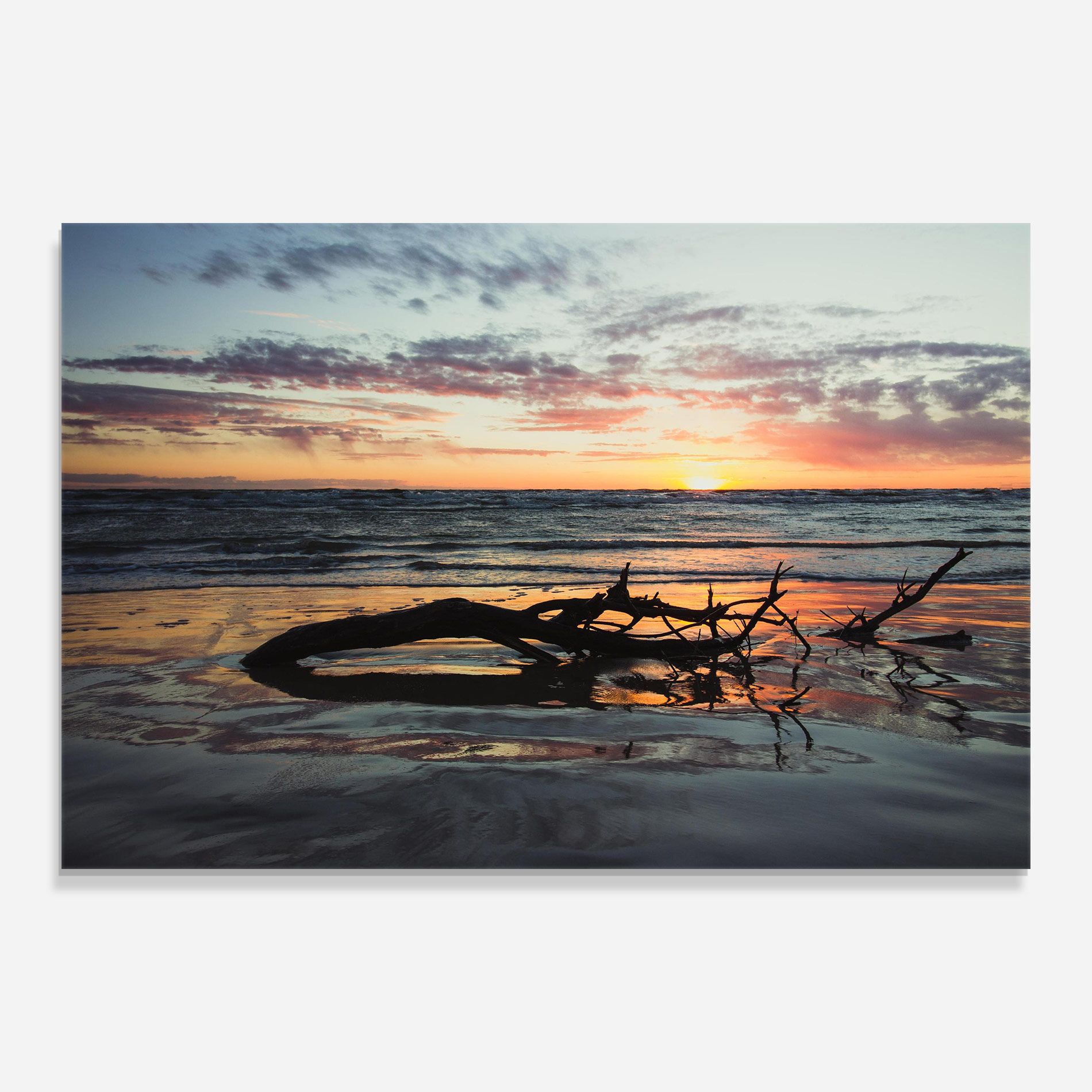 Sunset Water Branches mockup 0