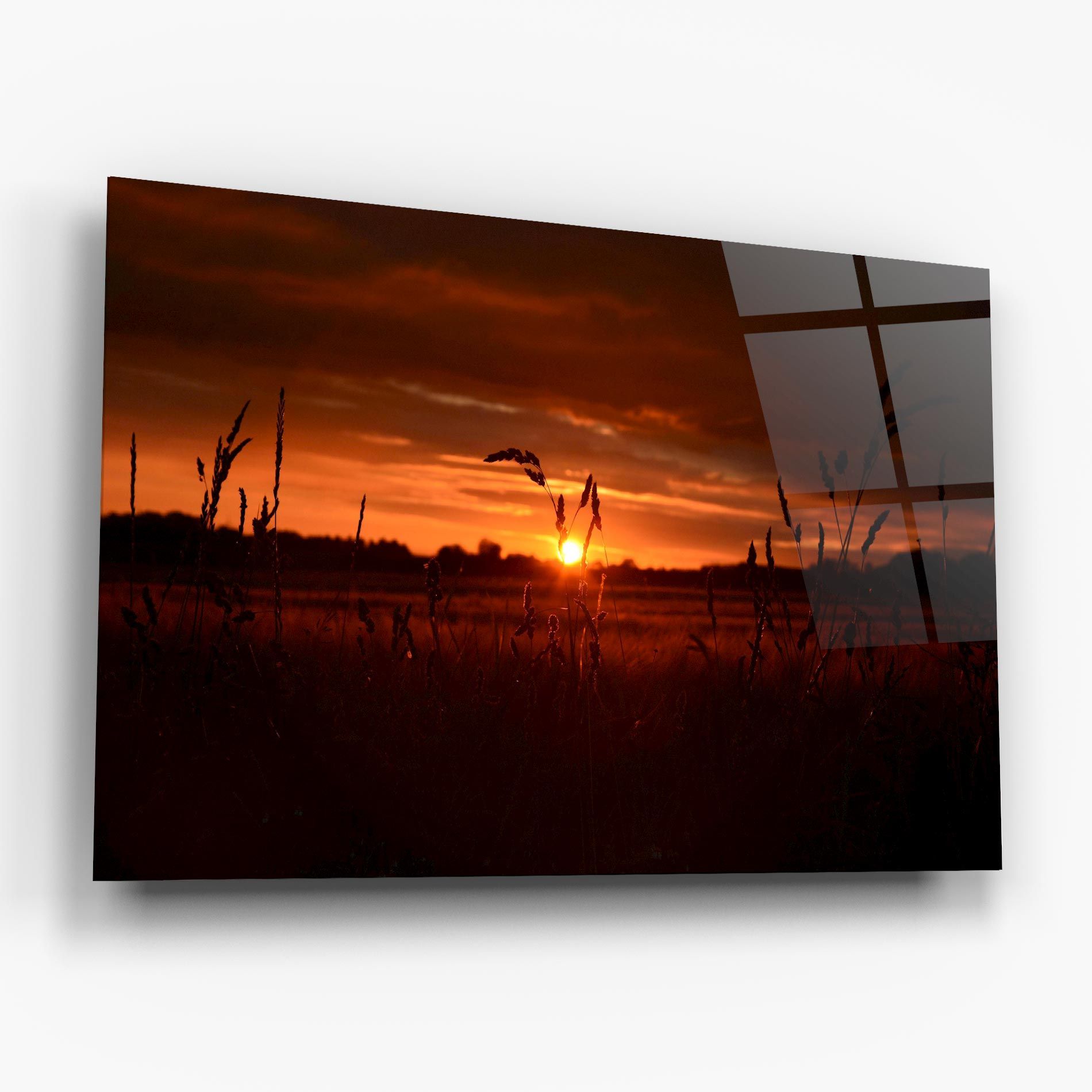 Field Shilouette mockup 6