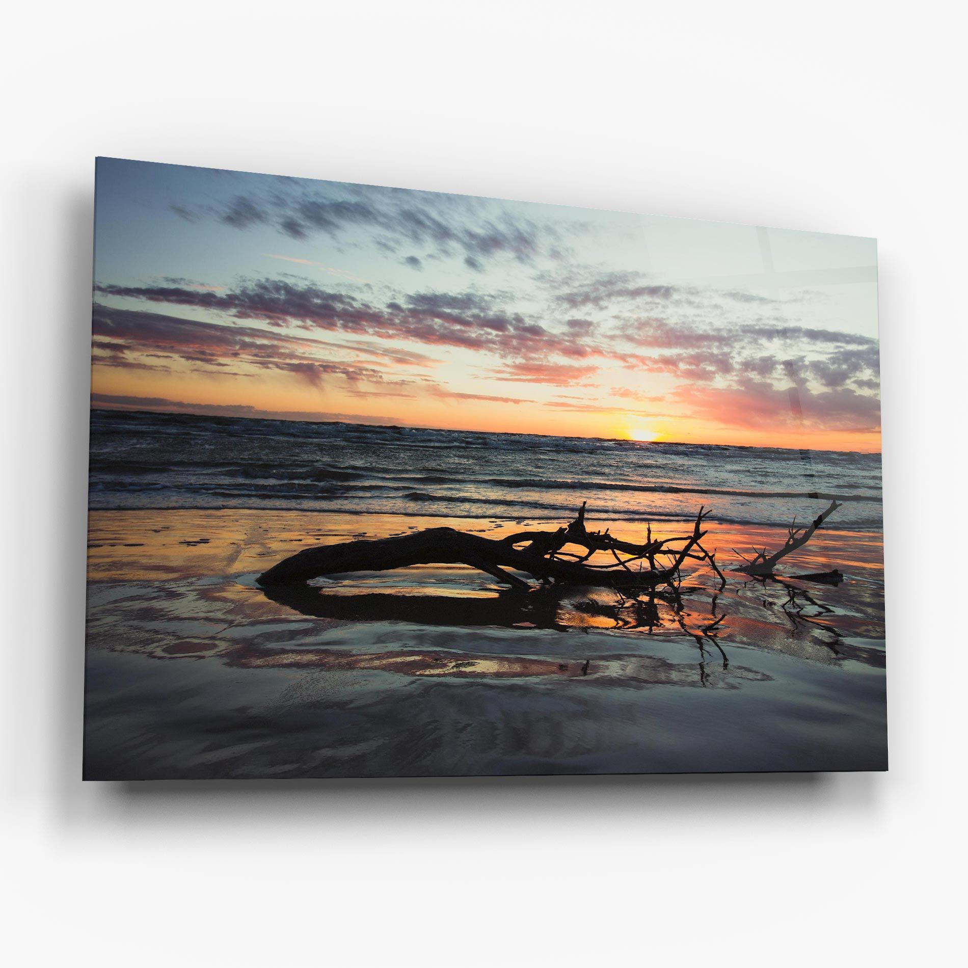 Sunset Water Branches mockup 6