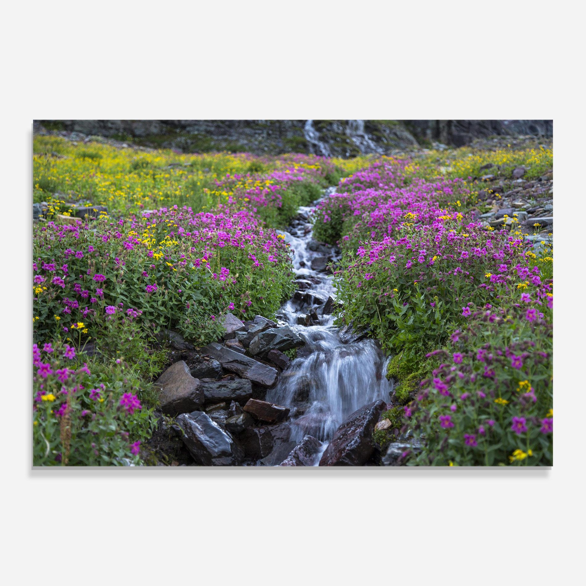 Purple Field Waterfall mockup 0