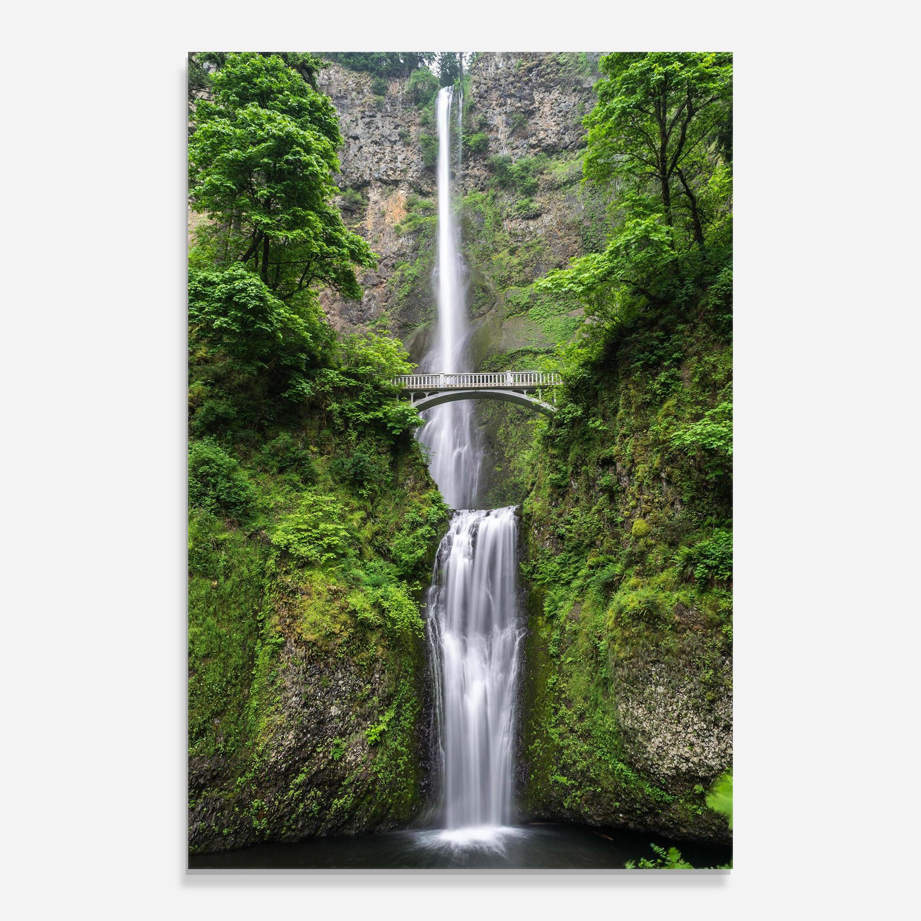 Glasbild Green Leaves Bridge View mockup 0