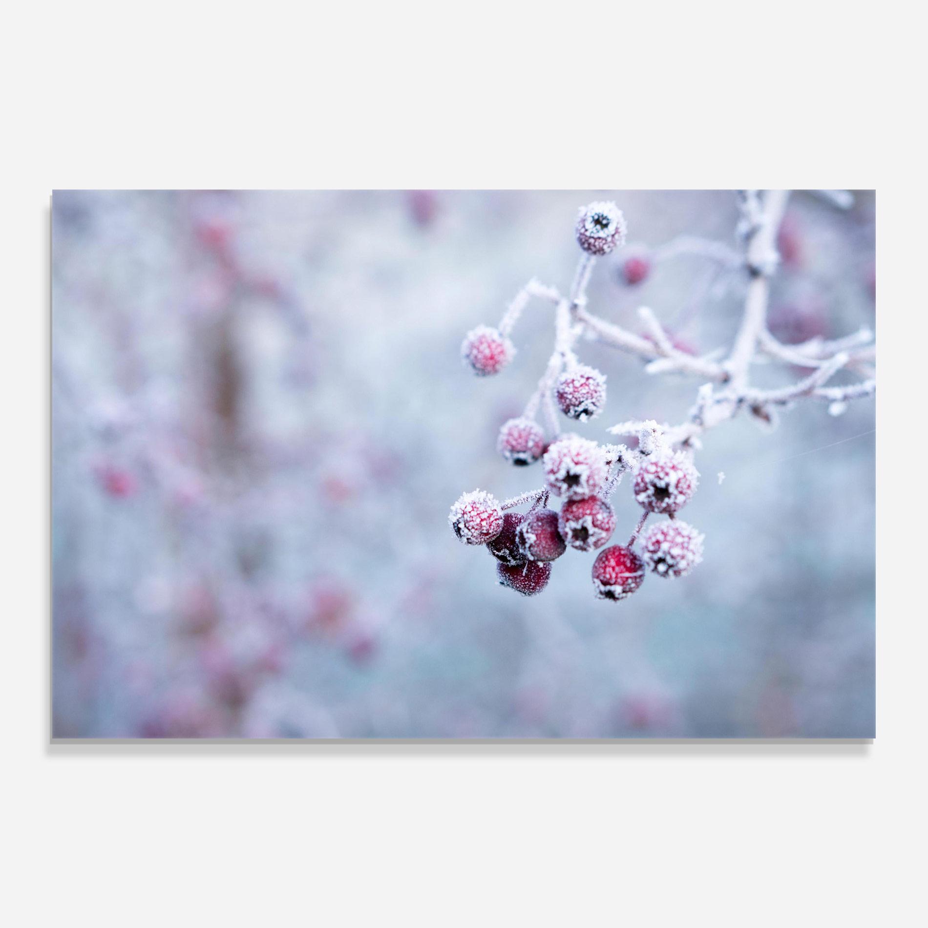 Glasbild Red Winter Fruits mockup 0