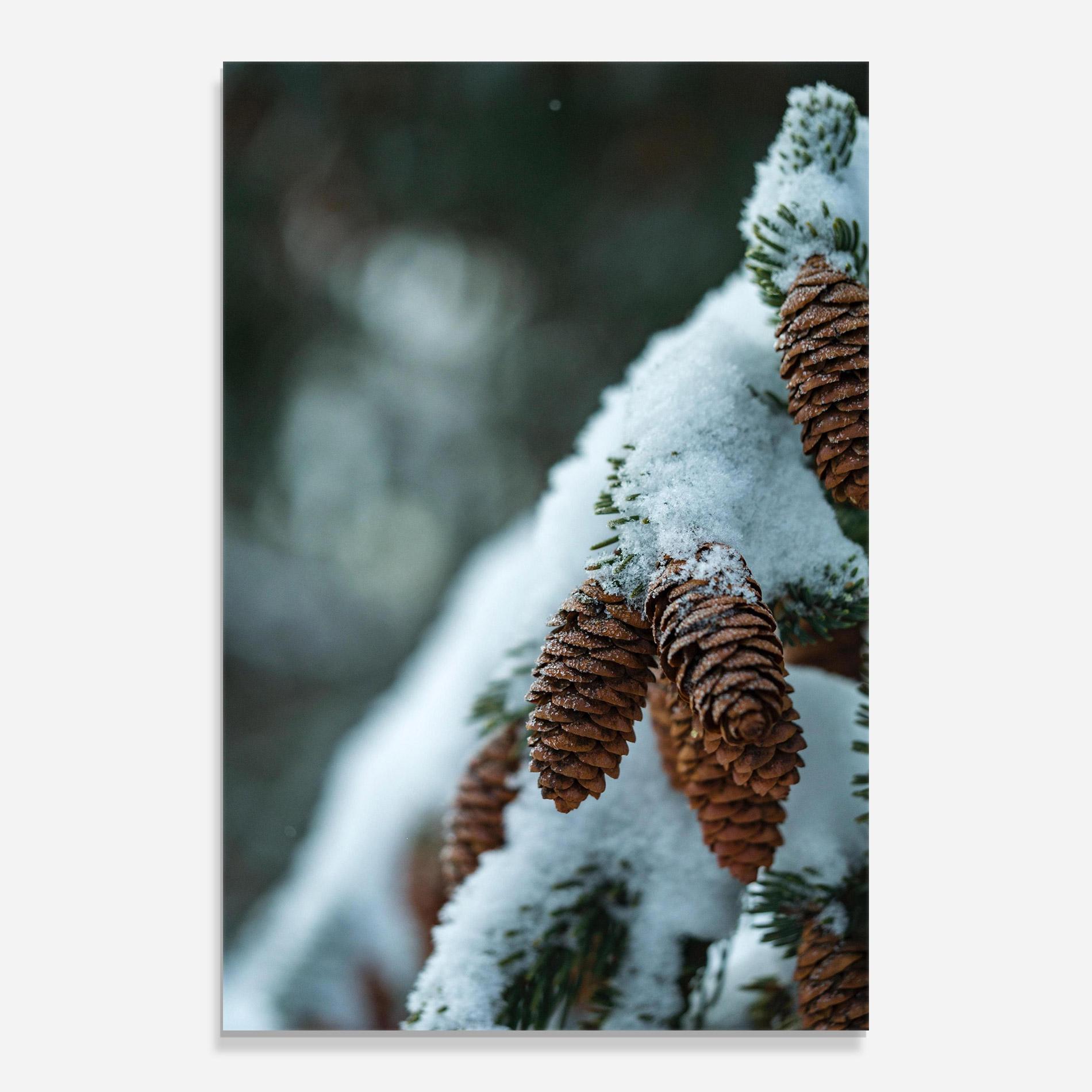 Glasbild Pretty Snow Cones mockup 0