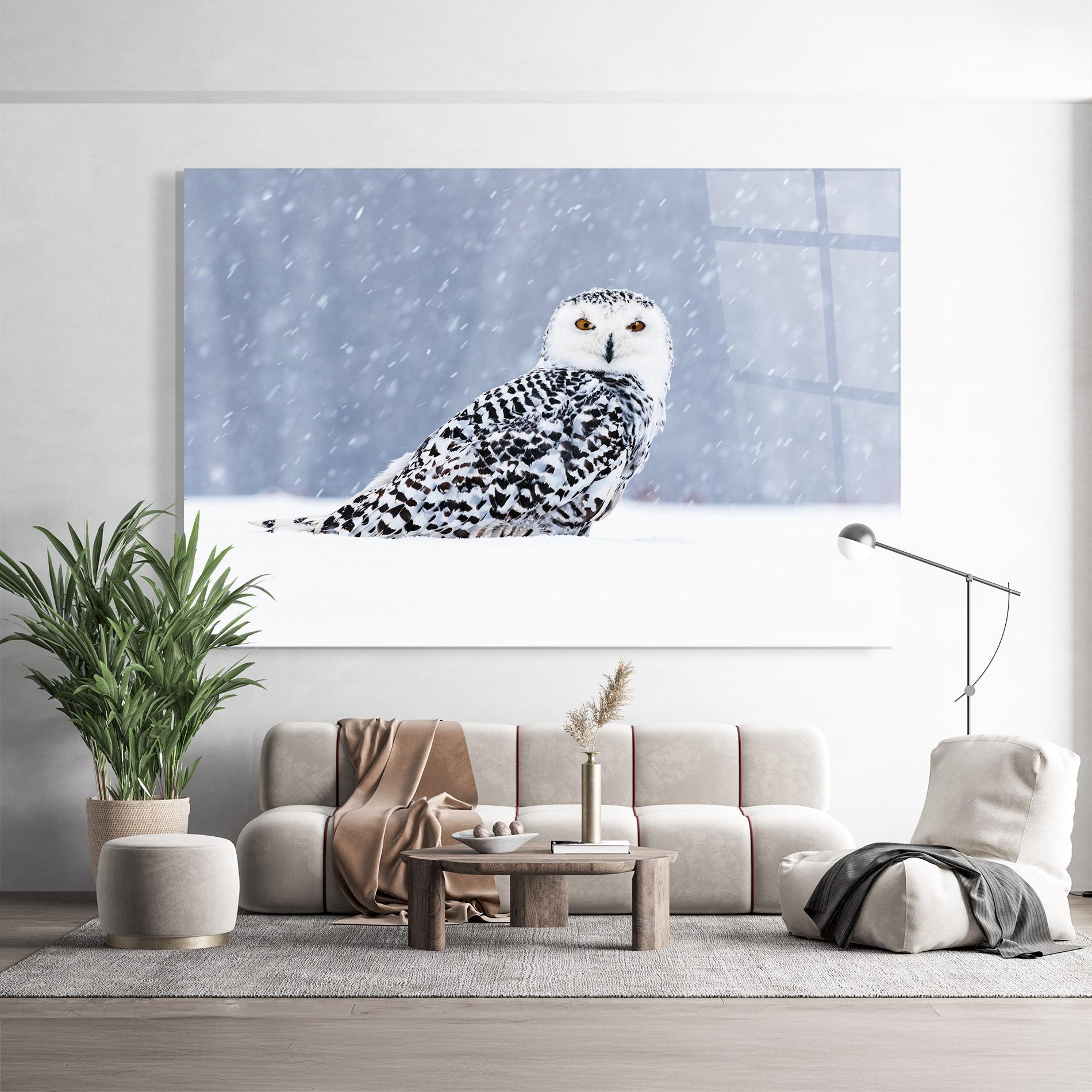 Glasbild Snow Owl mockup 9