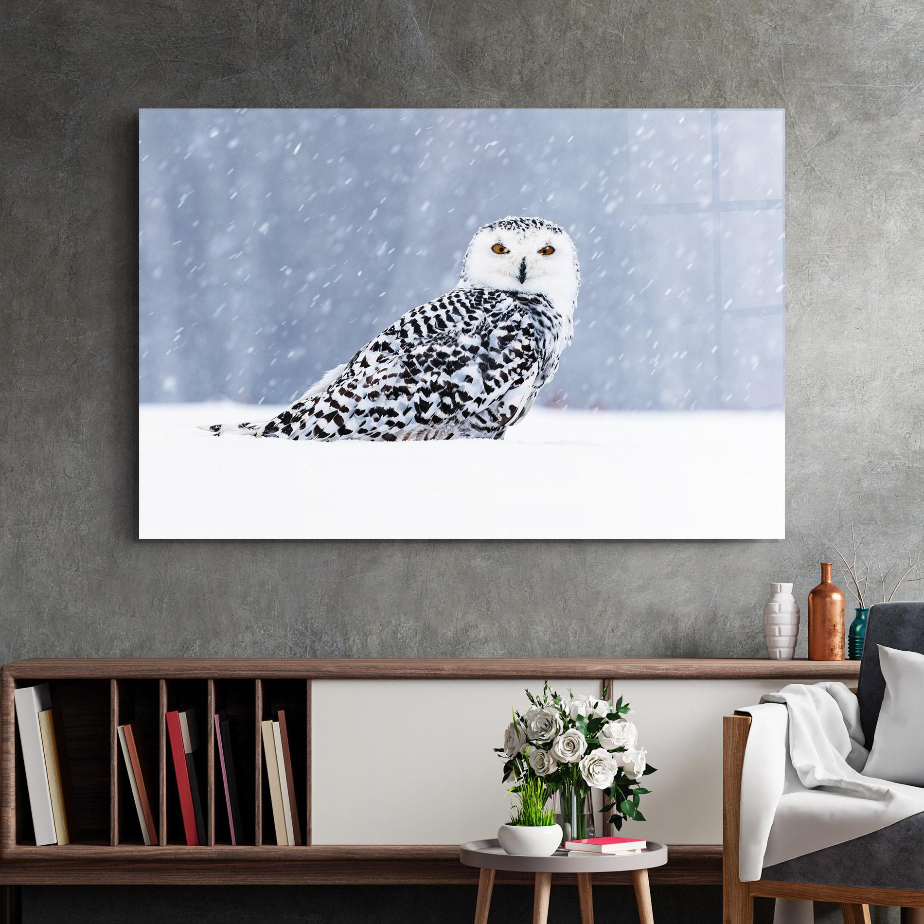 Glasbild Snow Owl mockup 2