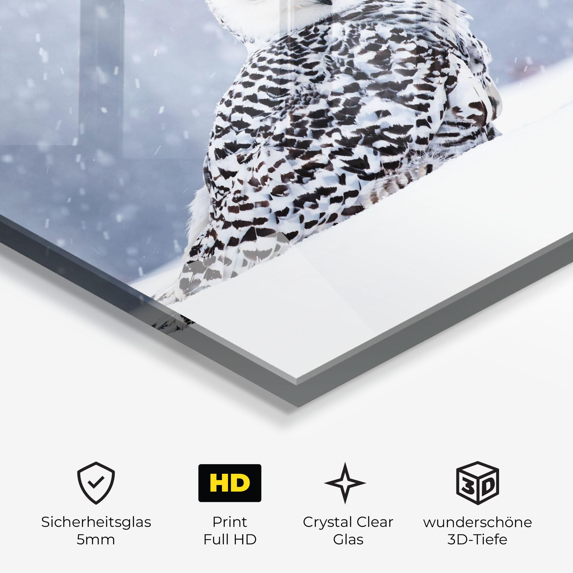 Glasbild Snow Owl mockup 3