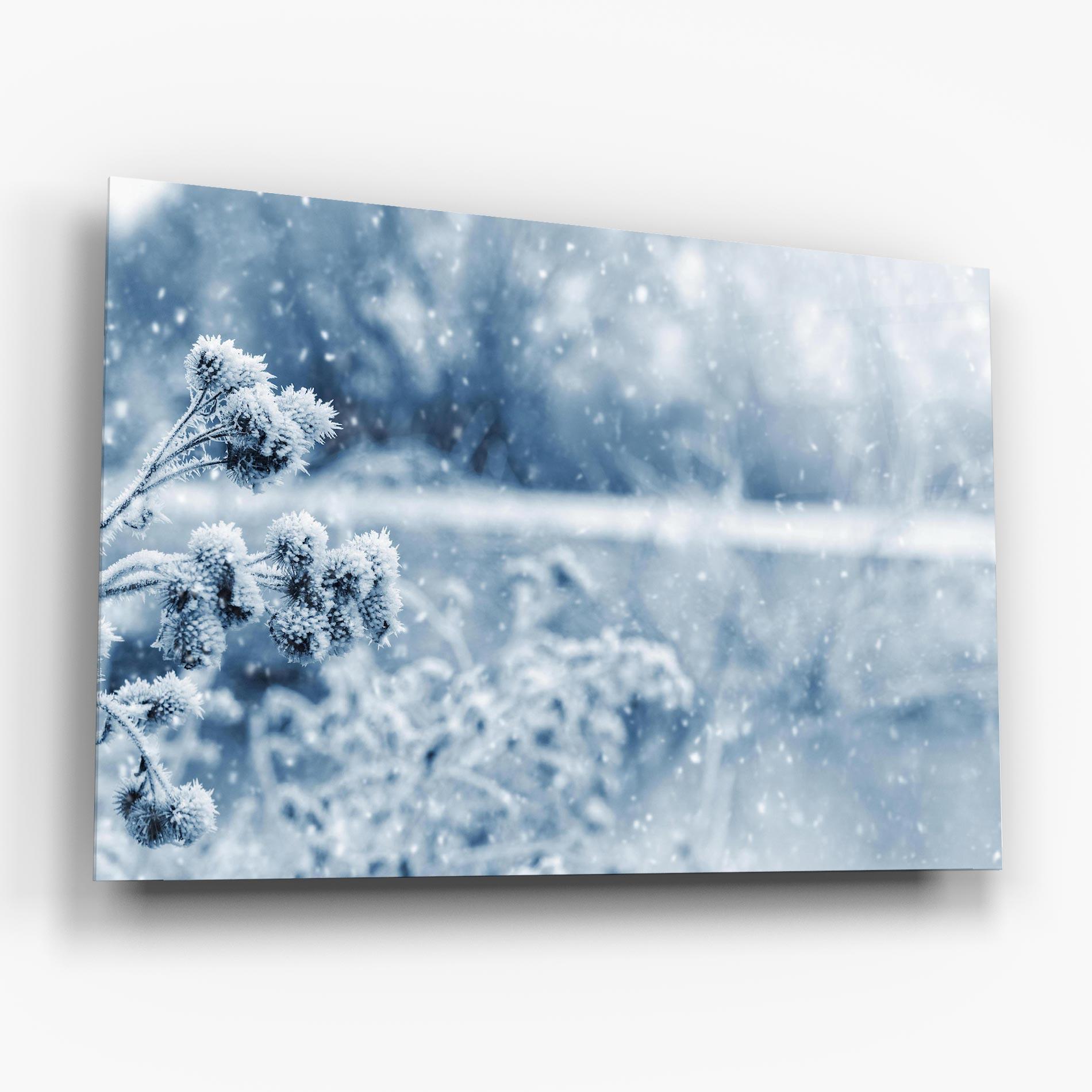 Glasbild Pretty Winter Plants mockup 6
