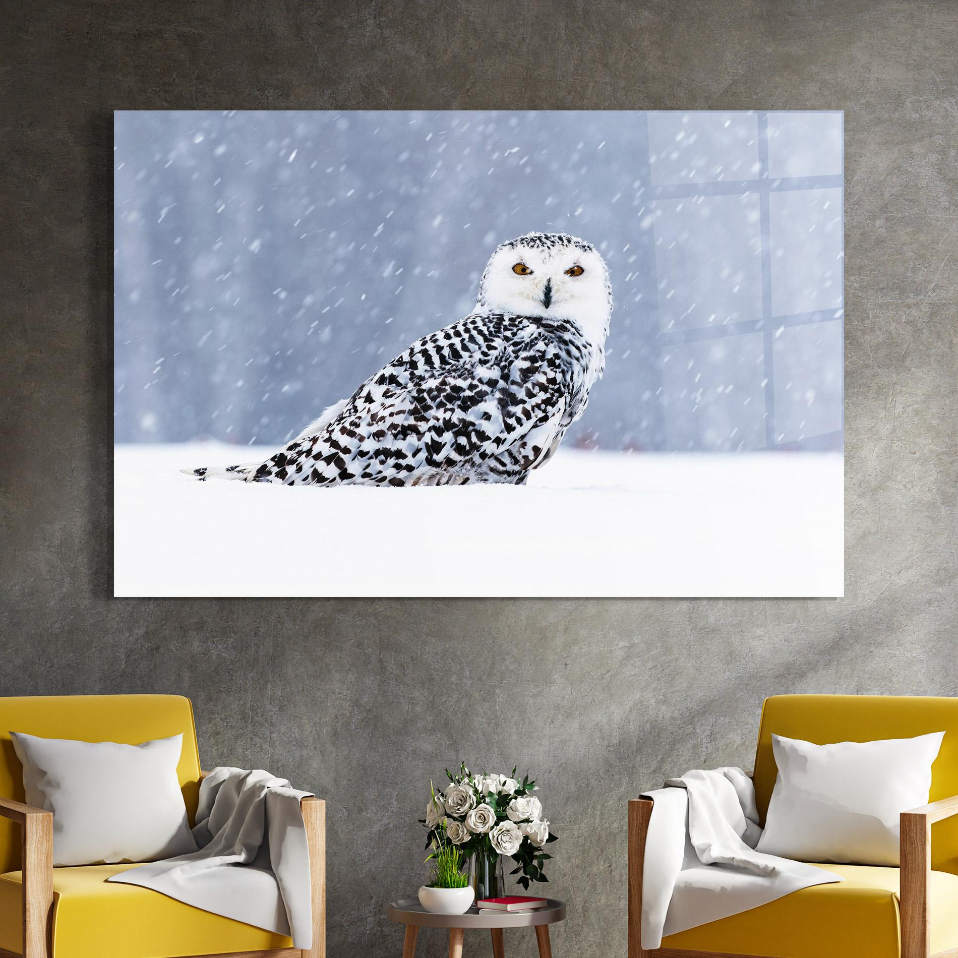 Glasbild Snow Owl mockup 4