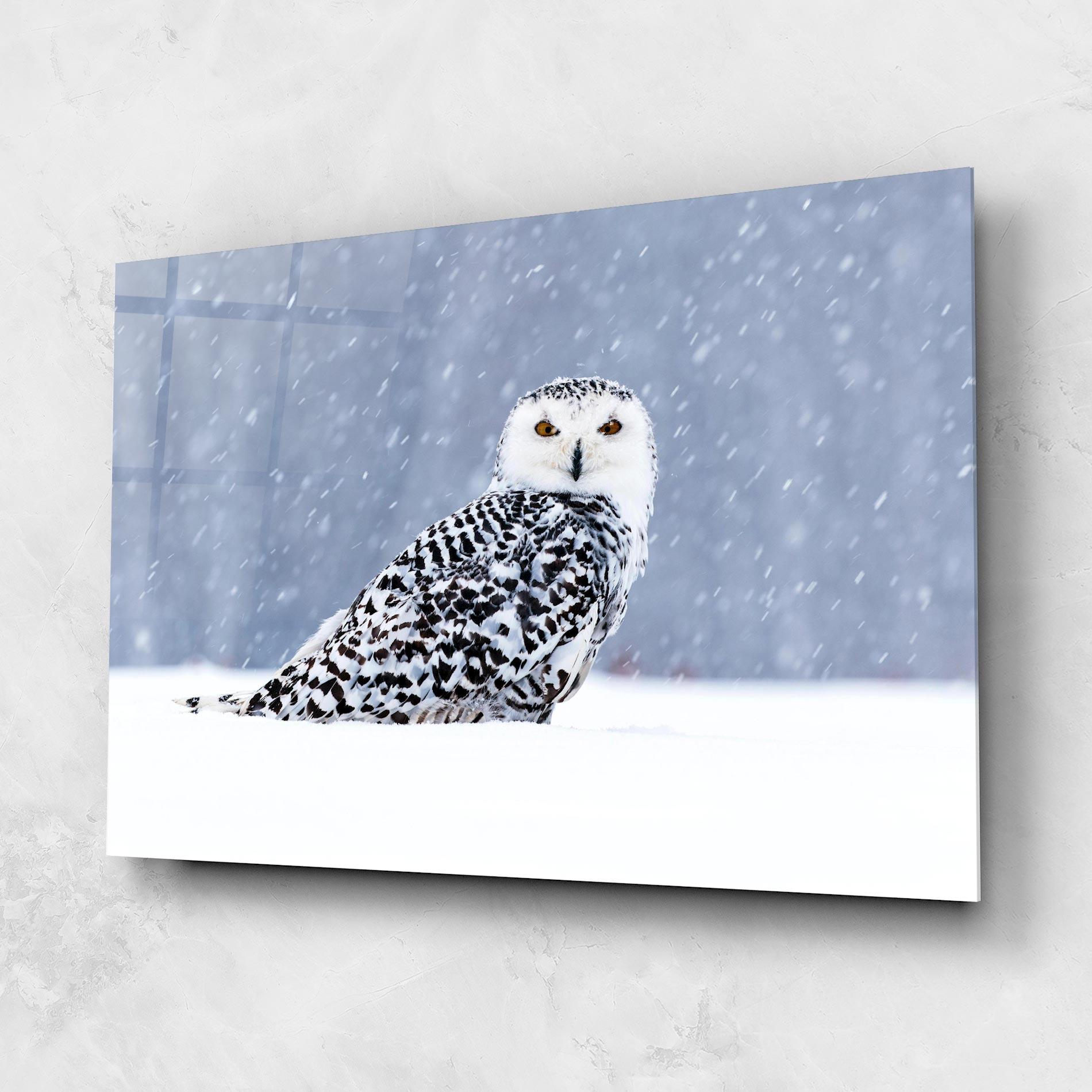 Glasbild Snow Owl mockup 1