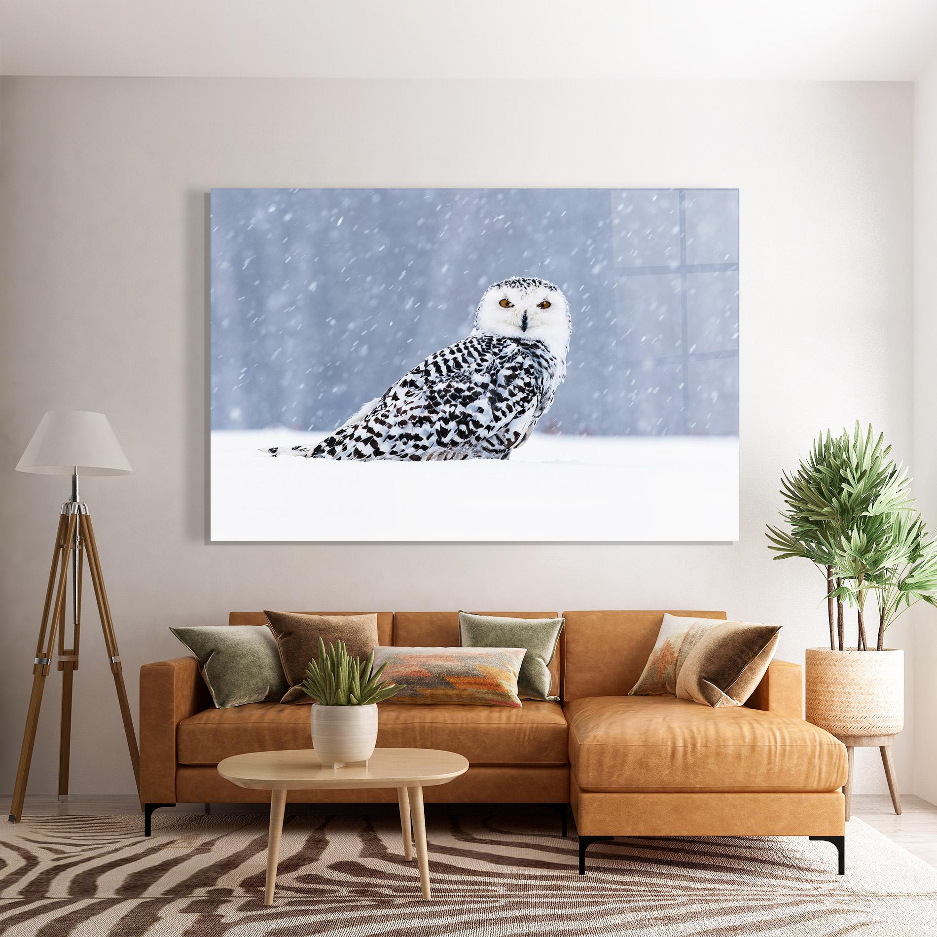 Glasbild Snow Owl mockup 7
