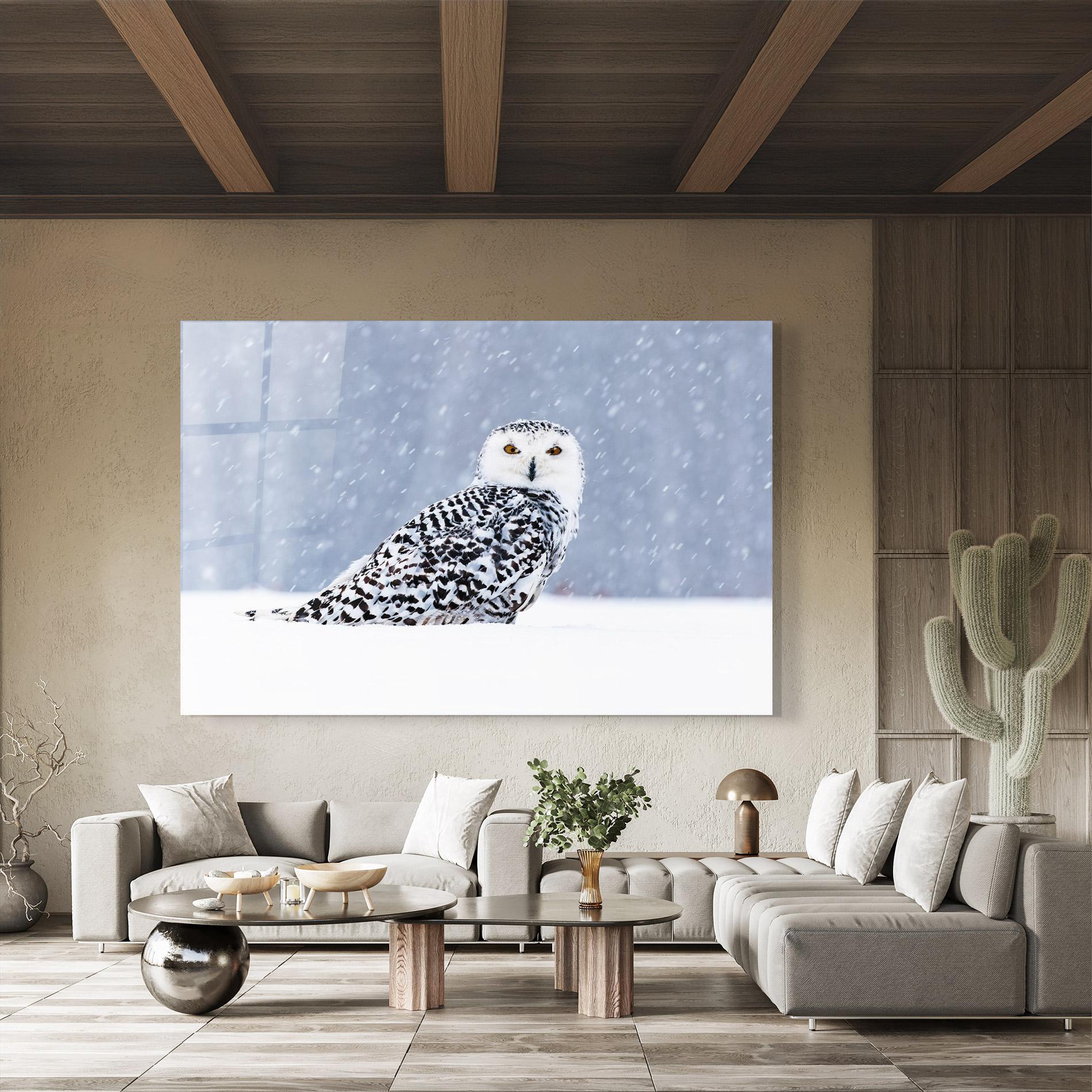 Glasbild Snow Owl mockup 8