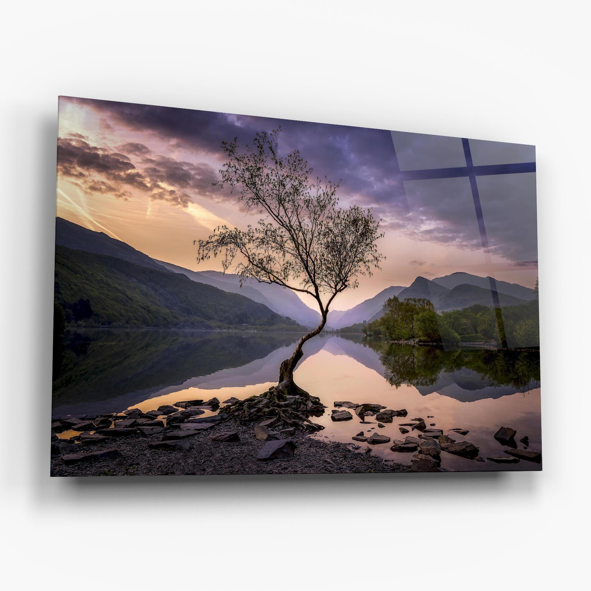 Glasbild Lone Tree mockup 6