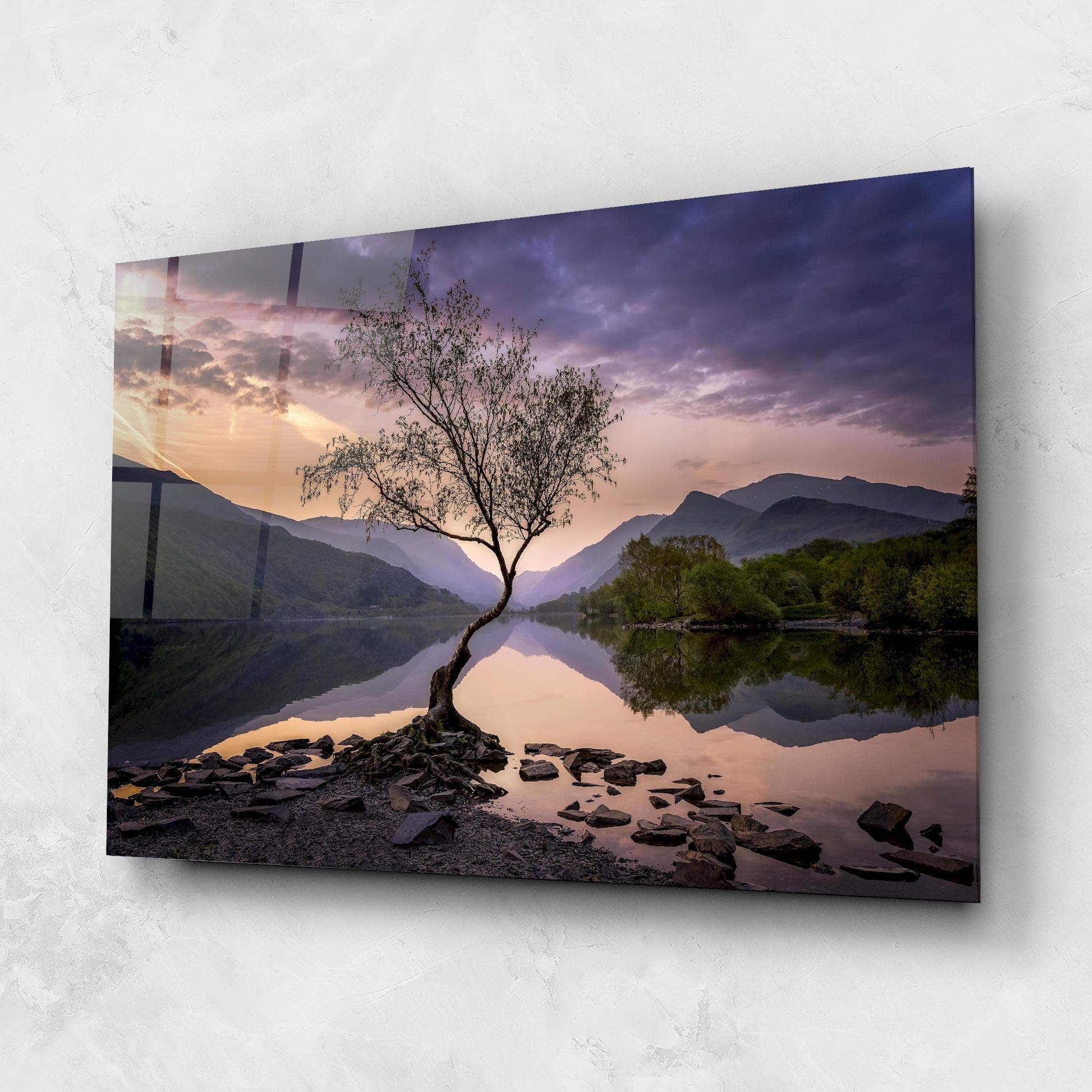 Glasbild Lone Tree mockup 1