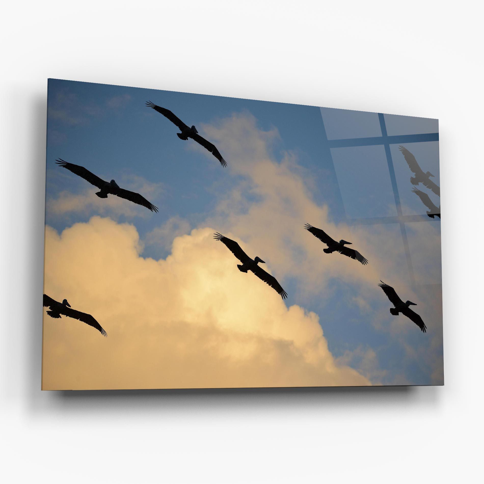 Bird Shilouette Cloud mockup 6