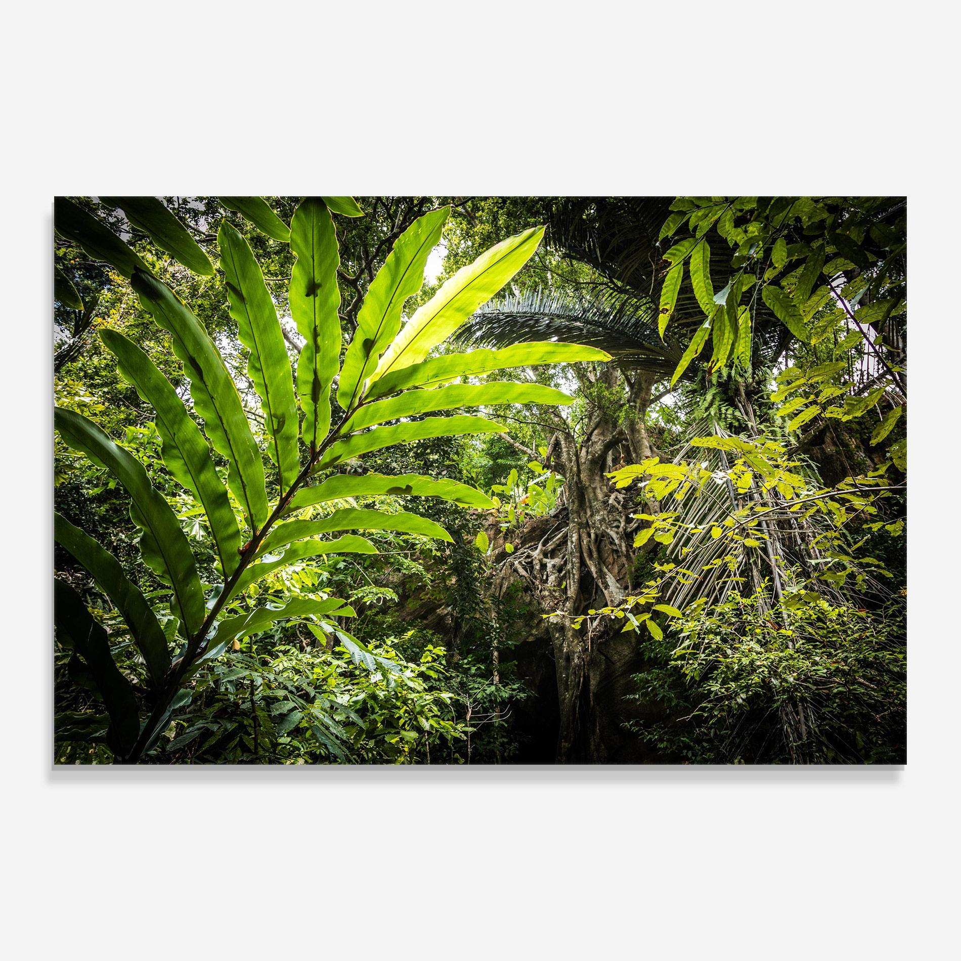 Glasbild Big Leaf Forest mockup 0