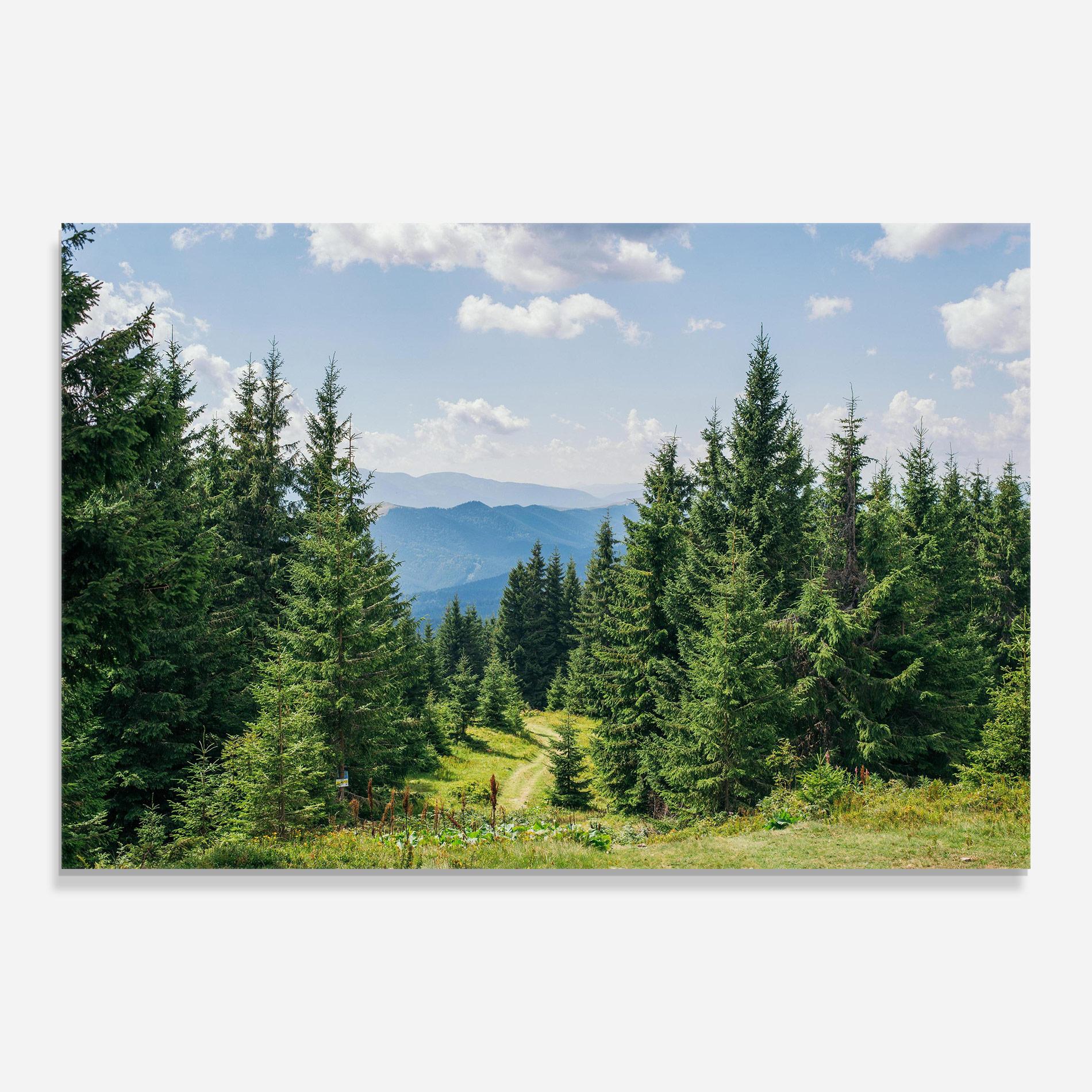 Glasbild Carpathian Mountain mockup 0