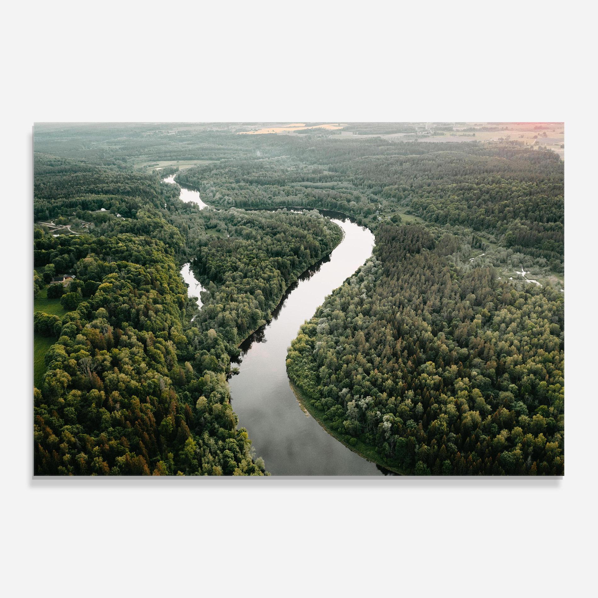 Glasbild Forest Big River mockup 0