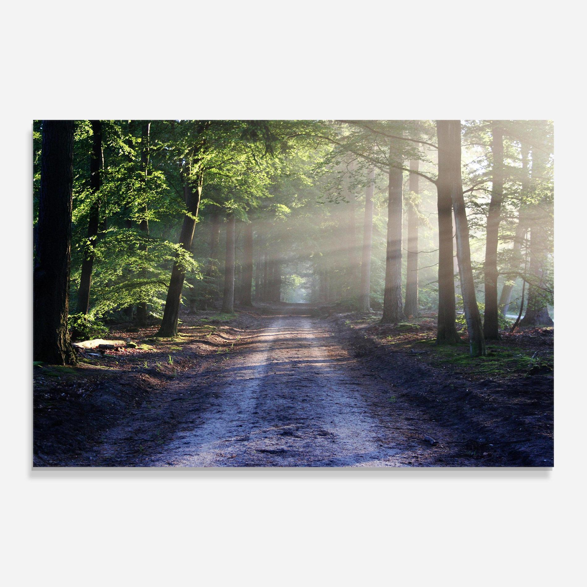 Glasbild Forest Road mockup 0