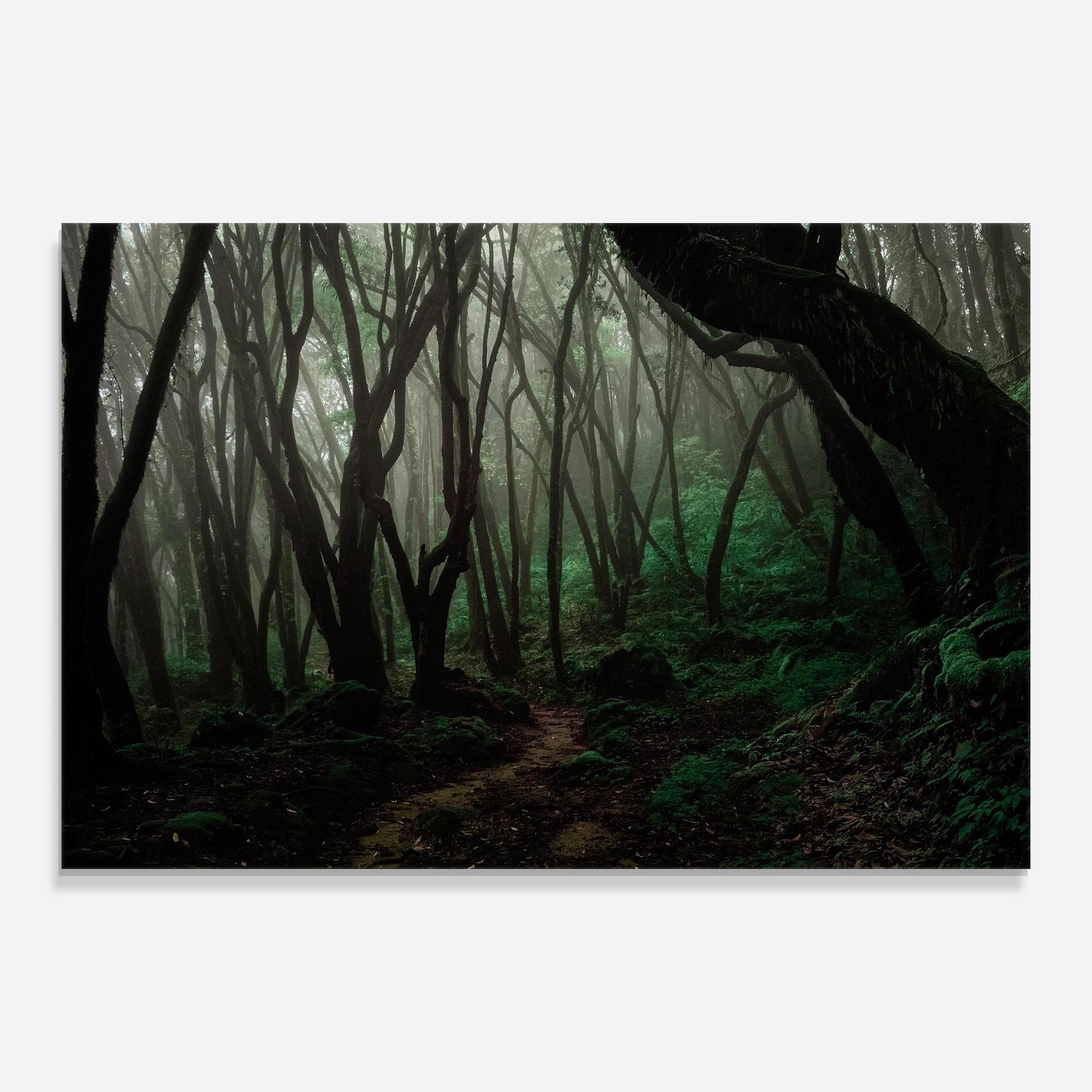 Glasbild Forest Story mockup 0