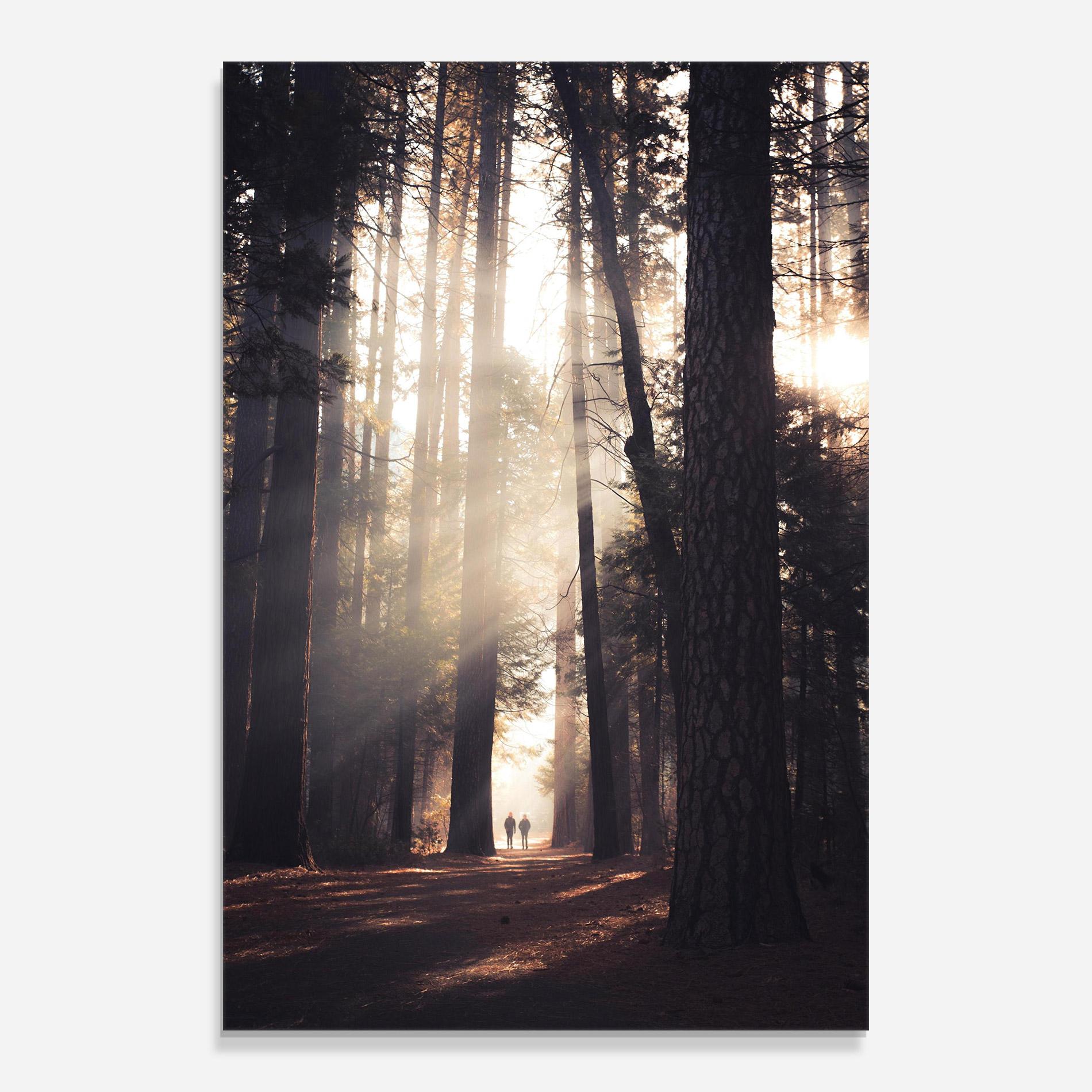 Glasbild Foggy Couple Forest mockup 0