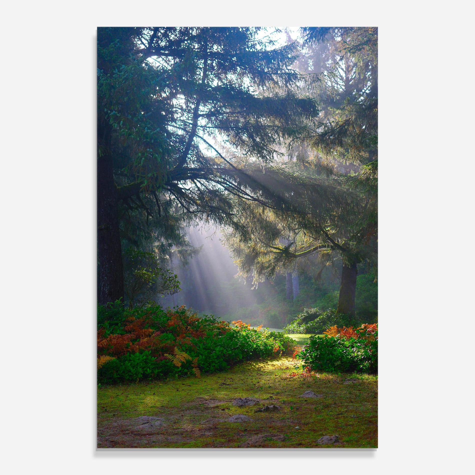 Glasbild Forest Light mockup 0