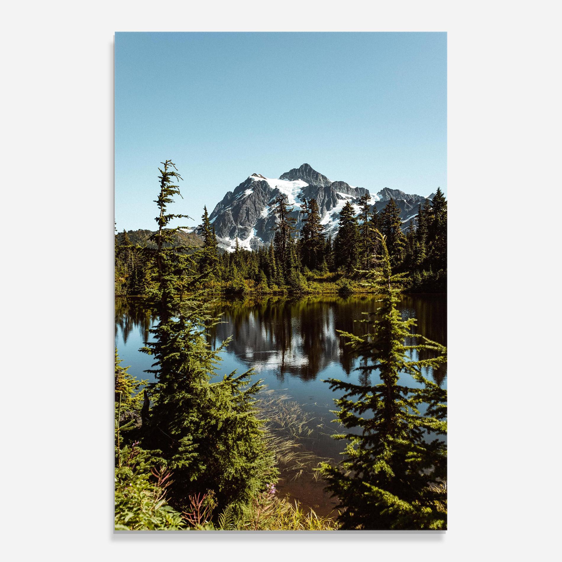 Glasbild Forest Snow Mountain mockup 0