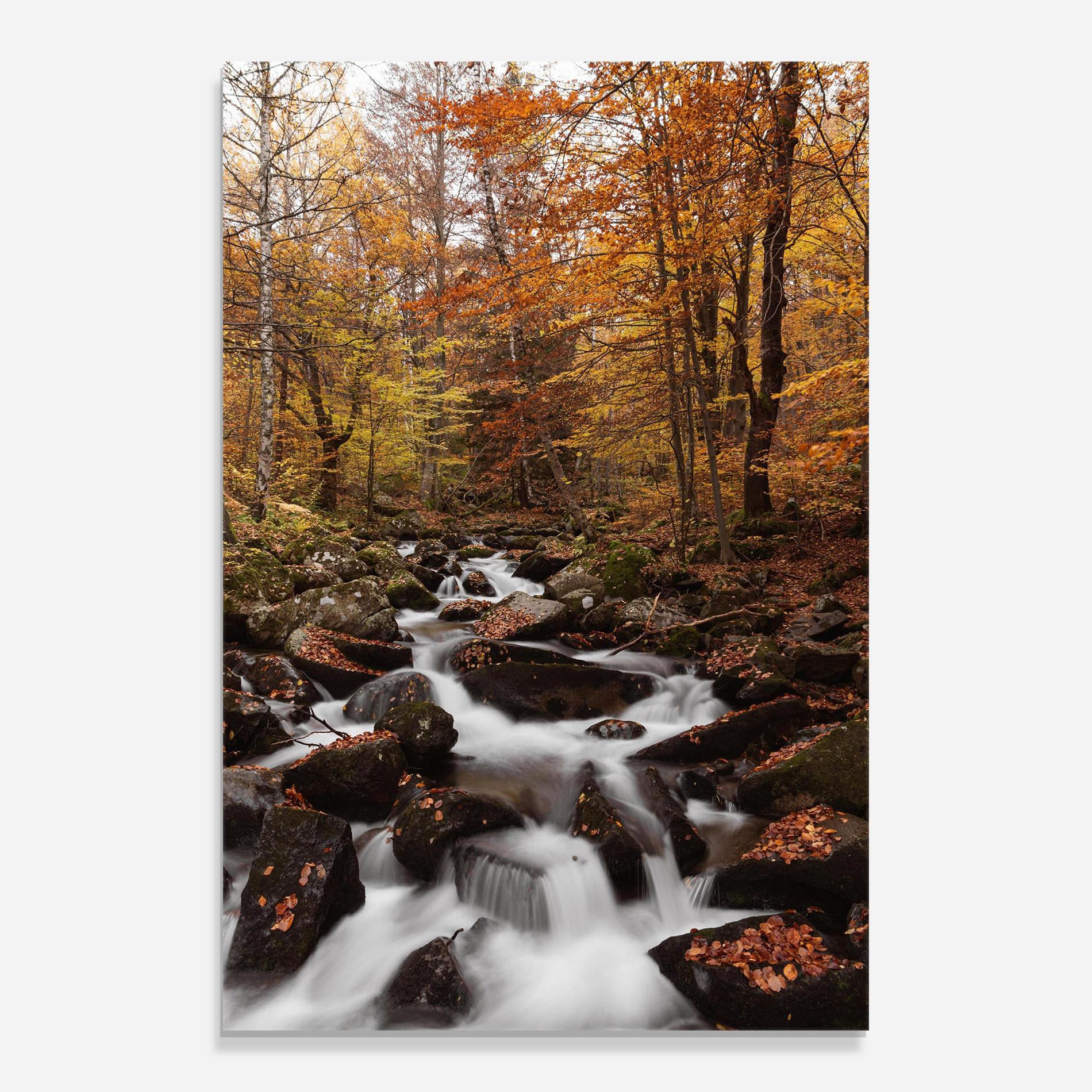 Glasbild River Forest View mockup 0