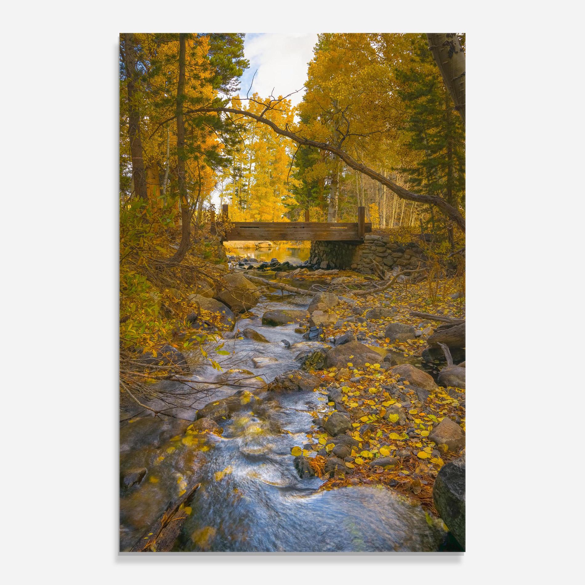 Glasbild Yellow View Forest mockup 0