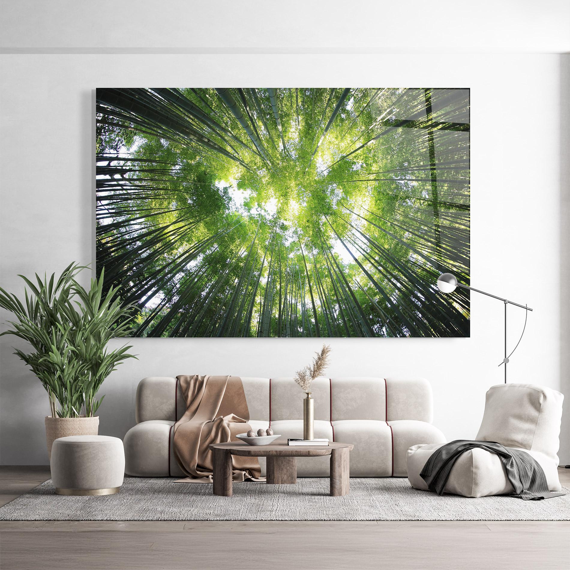 Glasbild Big Trees Morning mockup 9