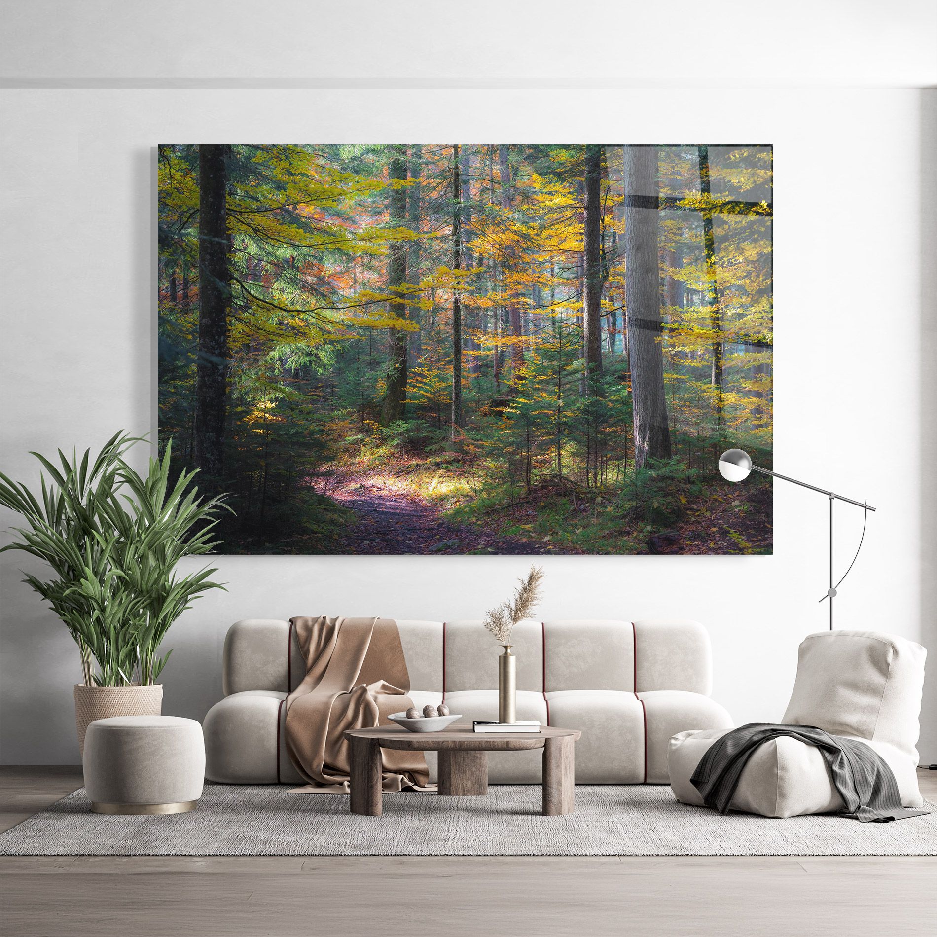 Dreamy Path Dorest mockup 9