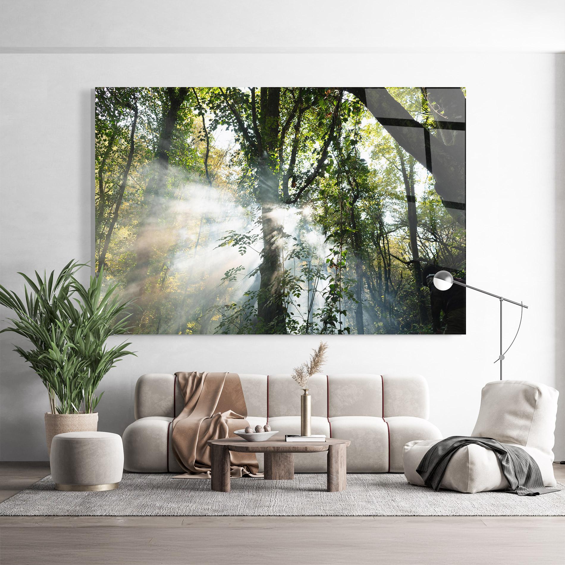 Glasbild Foggy Light Forest mockup 9