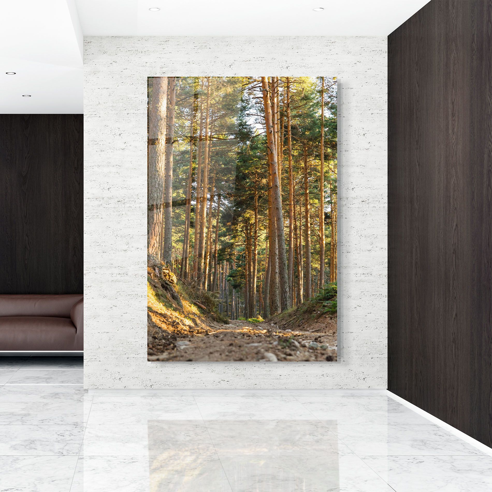 Big Trees Forest mockup 9