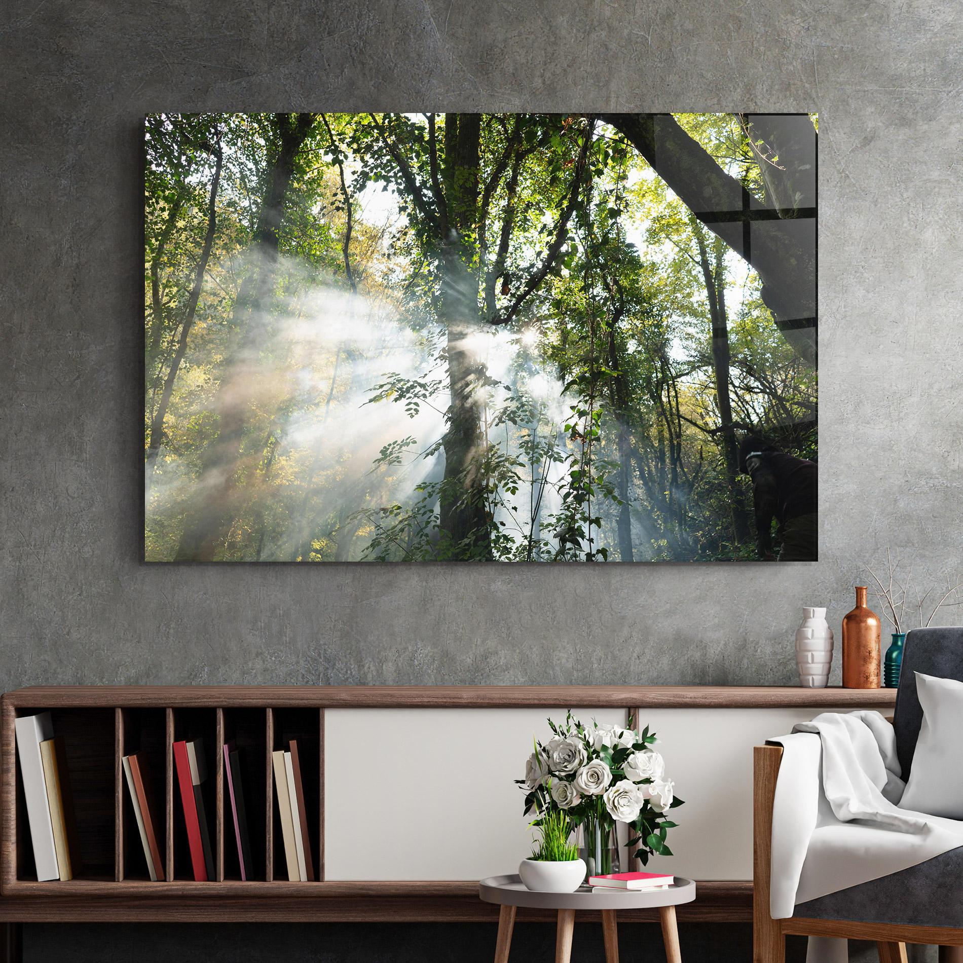 Glasbild Foggy Light Forest mockup 2