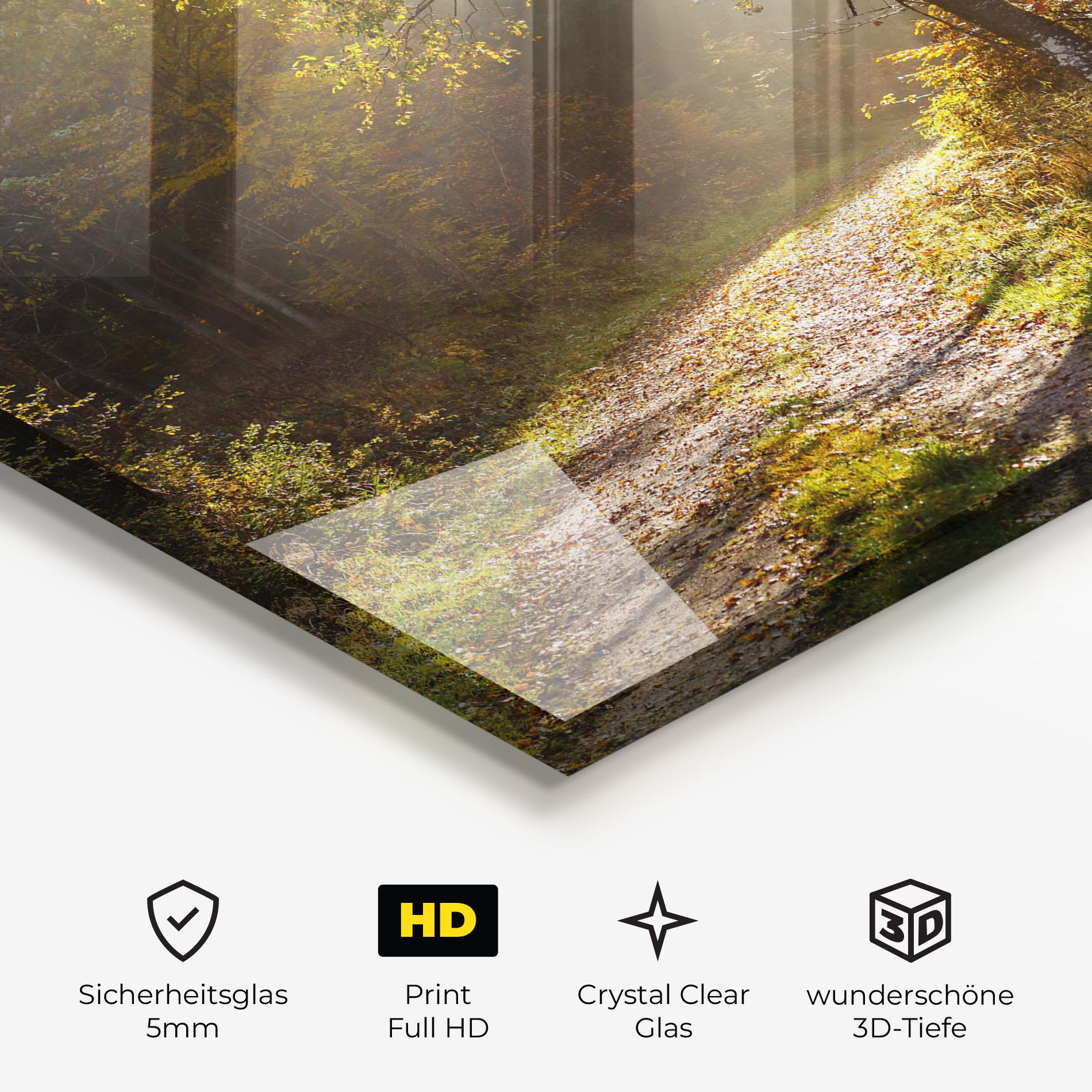 Glasbild Autumn Trees Sun mockup 3