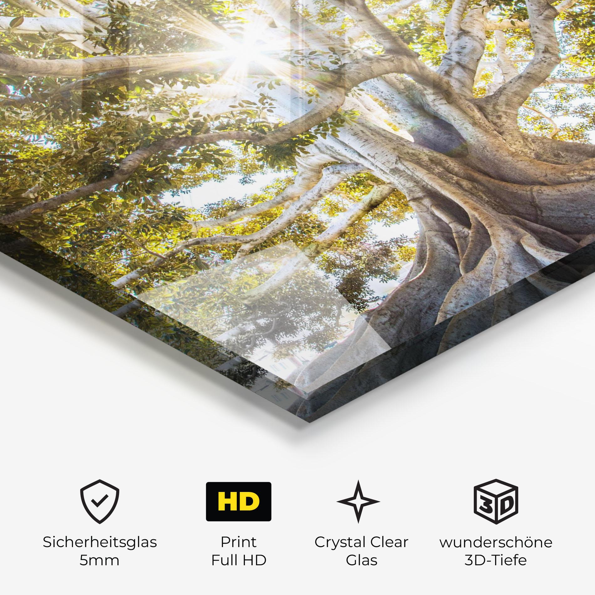 Glasbild Big Old Tree mockup 3