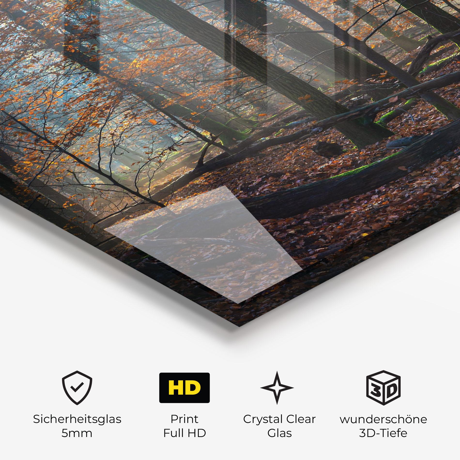 Glasbild Forest Autumn Day mockup 3